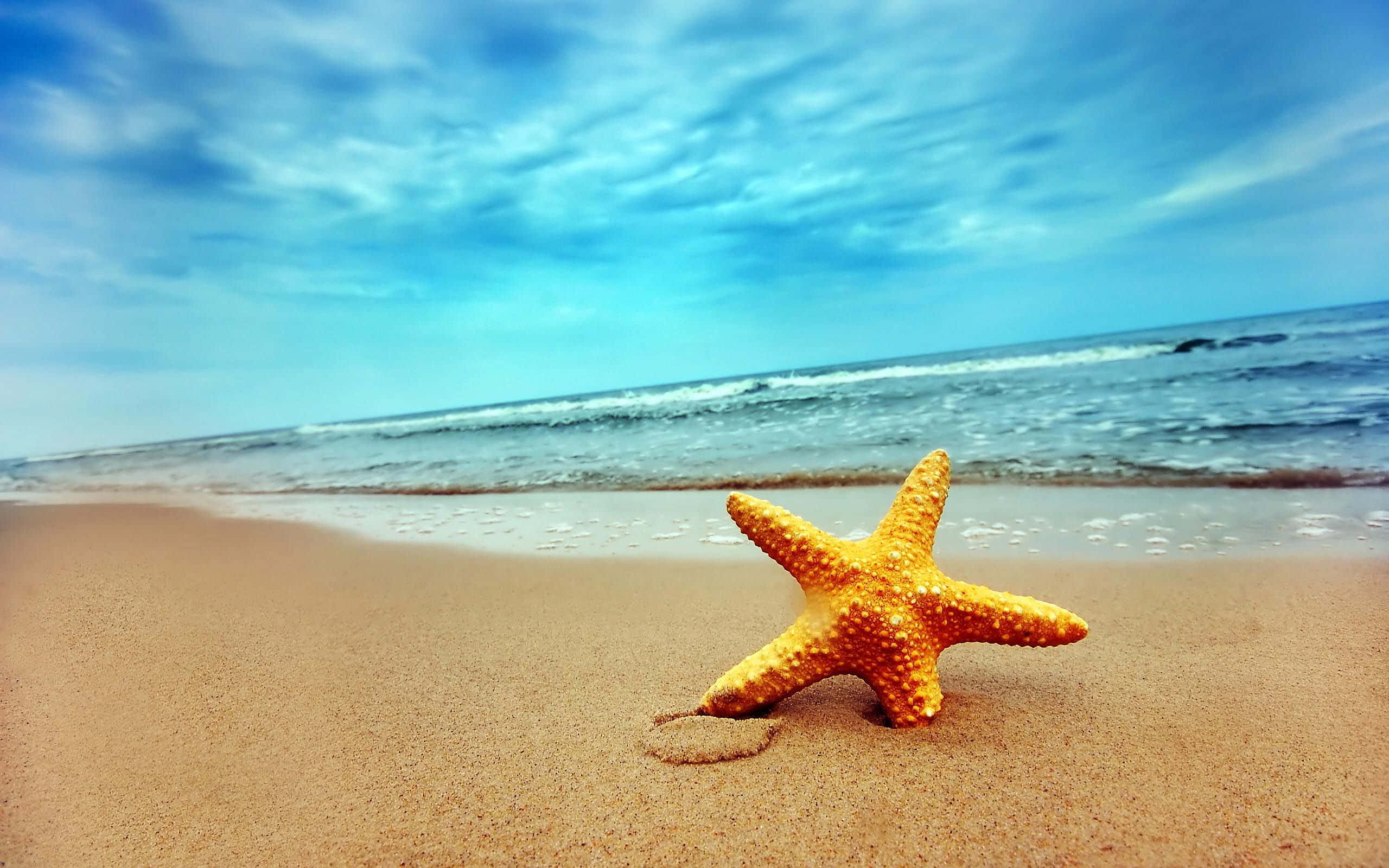 Beautiful Travel 桌布 壁紙 — 一隻鮮豔的橙色海星躺在濕潤的金色沙灘上，溫柔的海浪在明亮的藍天下緩緩湧來。