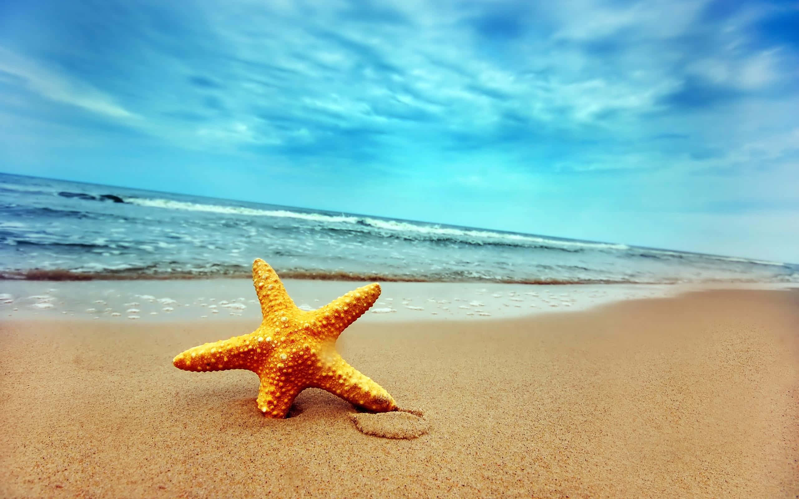 Beach Desktop 桌布 壁紙 — 一隻鮮豔的橙色海星躺在濕潤的金色沙灘上，溫柔的海浪在明亮的藍天和薄雲下翻滾。