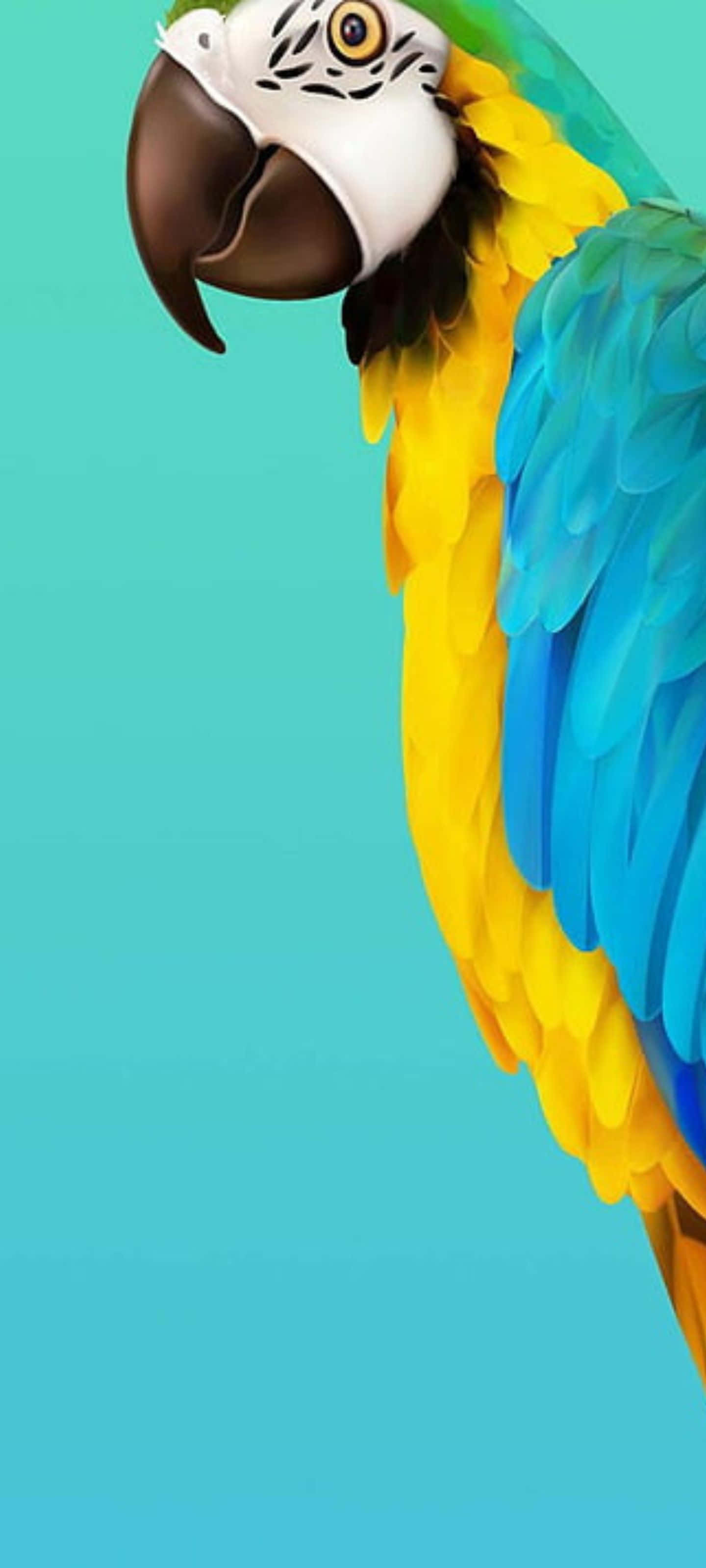 Samsung S20 桌布 壁紙 — 一隻鮮豔的藍黃金剛鸚鵡，白色臉龐和黑色鳥喙，棲息在純綠松石色背景上。