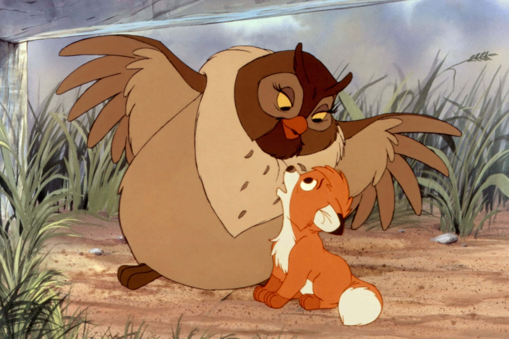 the fox and the hound 桌布 壁紙 — 一隻黃眼睛的大棕色貓頭鷹在陰天下的草地上輕輕地用鼻子蹭著一隻小橙色狐狸幼崽。