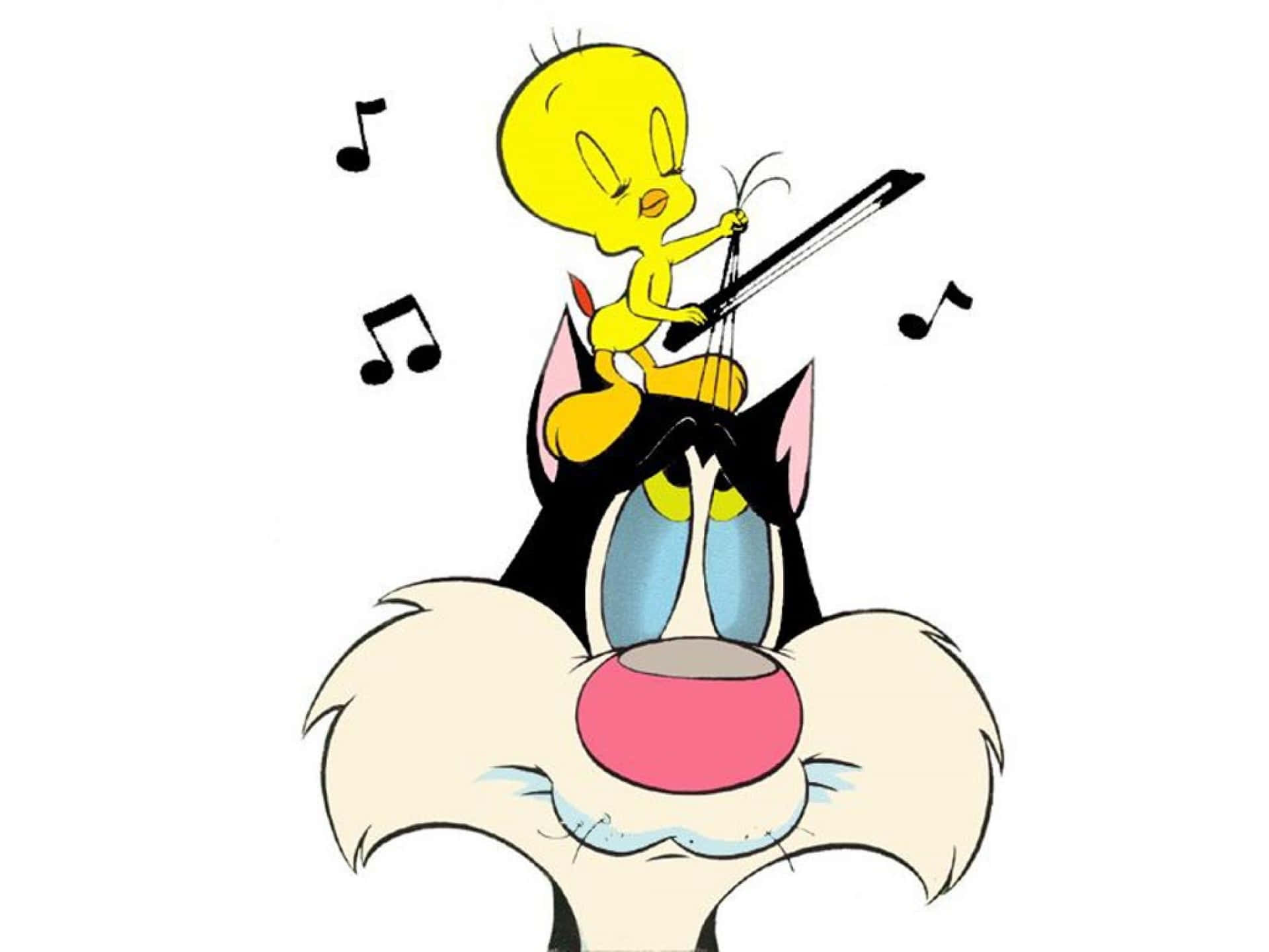 Cartoon Music 桌布 壁紙 — 一隻黃色卡通雀仔喺一隻受驚嘅黑貓頭上拉小提琴，周圍有音符漂浮。