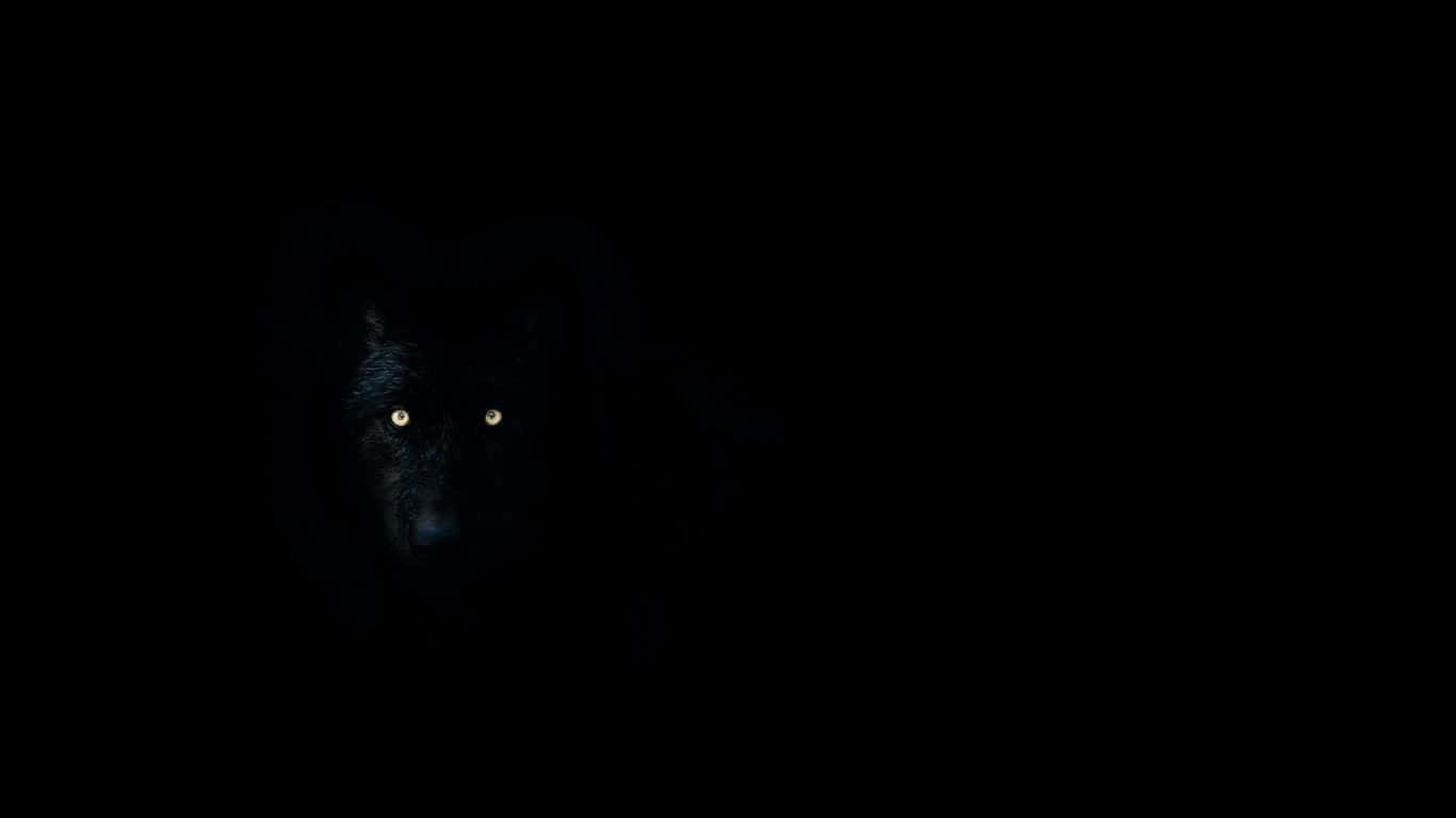 Wolf Eyes 桌布 壁紙 — 一隻黑狼發光的眼睛穿透完全的黑暗，形成一幅令人難忘的夜間肖像。