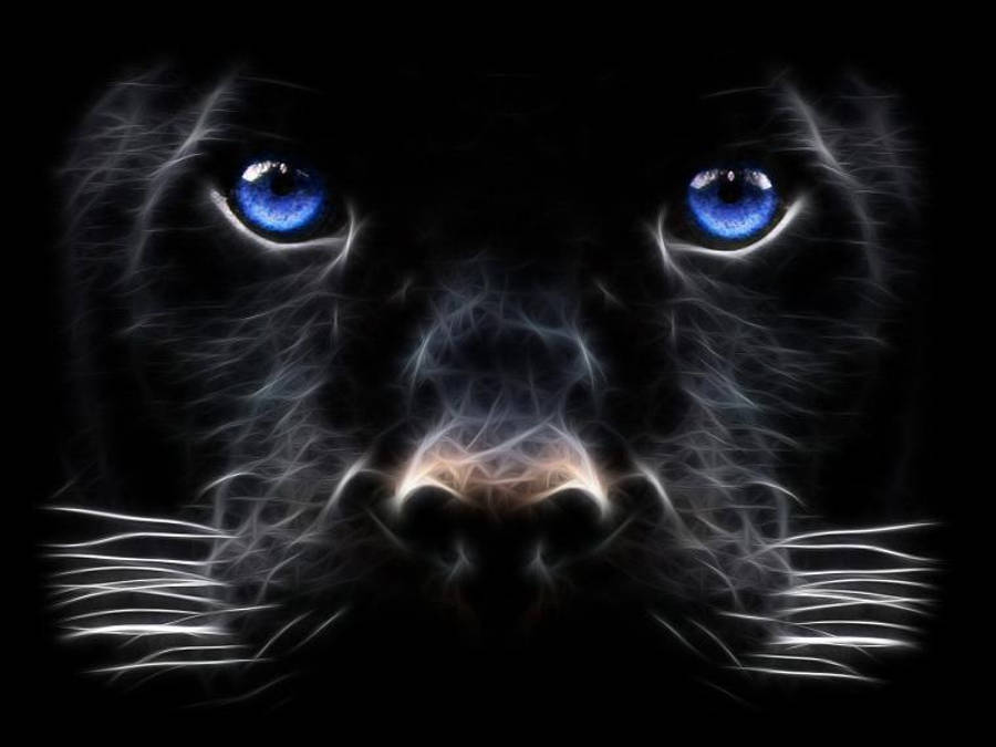 panther 桌布 壁紙 — 一隻黑豹嘅強烈面孔喺漆黑虛空中閃耀住電藍色眼睛同發光嘅白色毛髮絲。