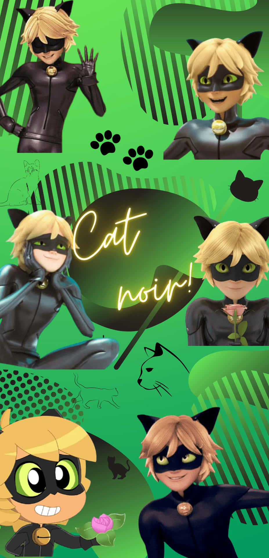 Cat Noir 動畫角色穿著黑色服裝，戴著貓耳和面具，在綠色背景上擺姿勢。
