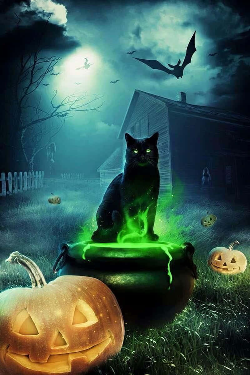  壁紙 — 一隻黑貓閃爍著發光的眼睛，坐在冒泡的綠色大鍋上，周圍環繞著南瓜燈籠，在月光下蝙蝠飛舞的鬼魅天空中。