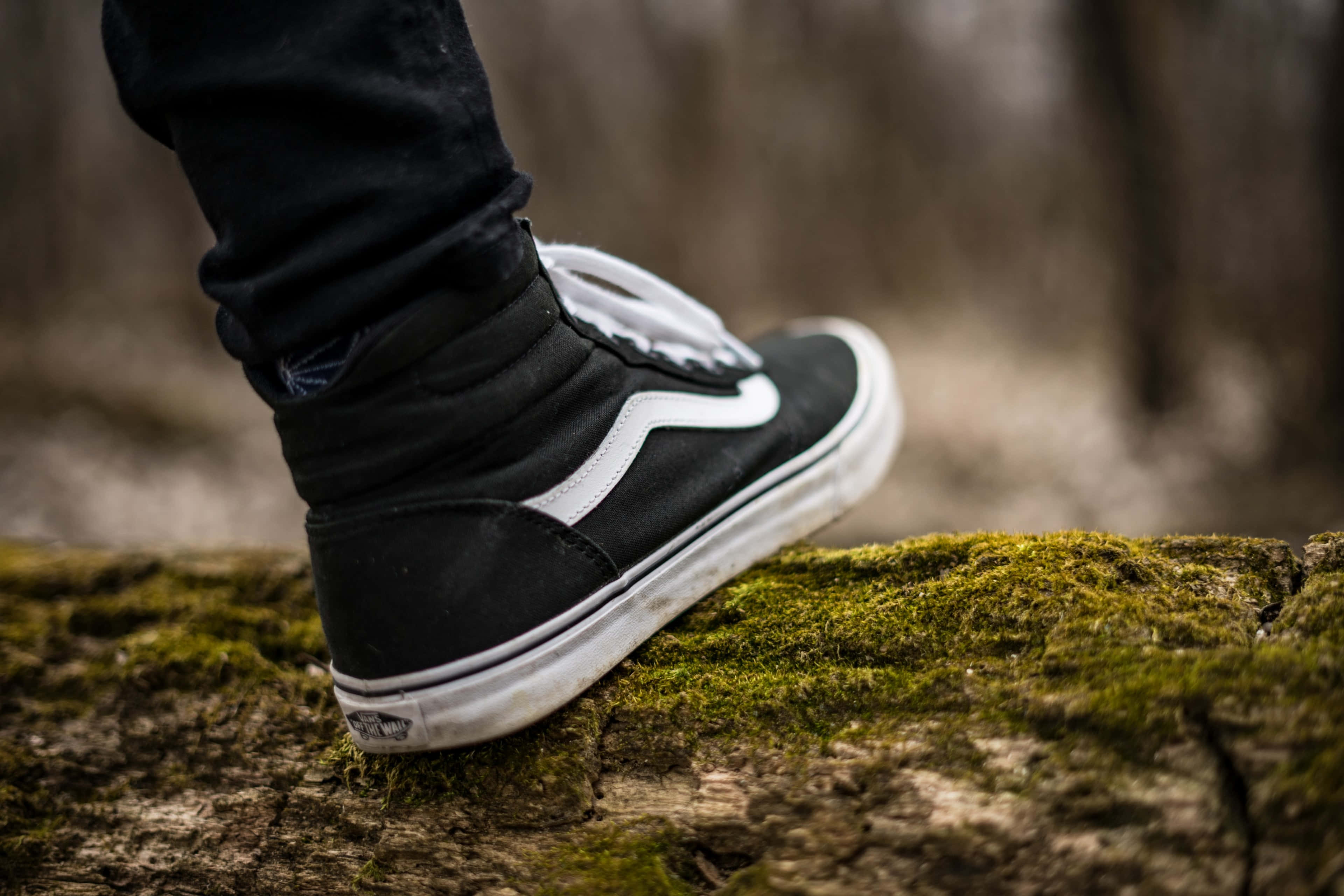 Footwear Design 桌布 壁紙 — 一雙帶有白色條紋的黑色Vans運動鞋棲息在模糊森林環境中的長滿苔蘚的木頭上。