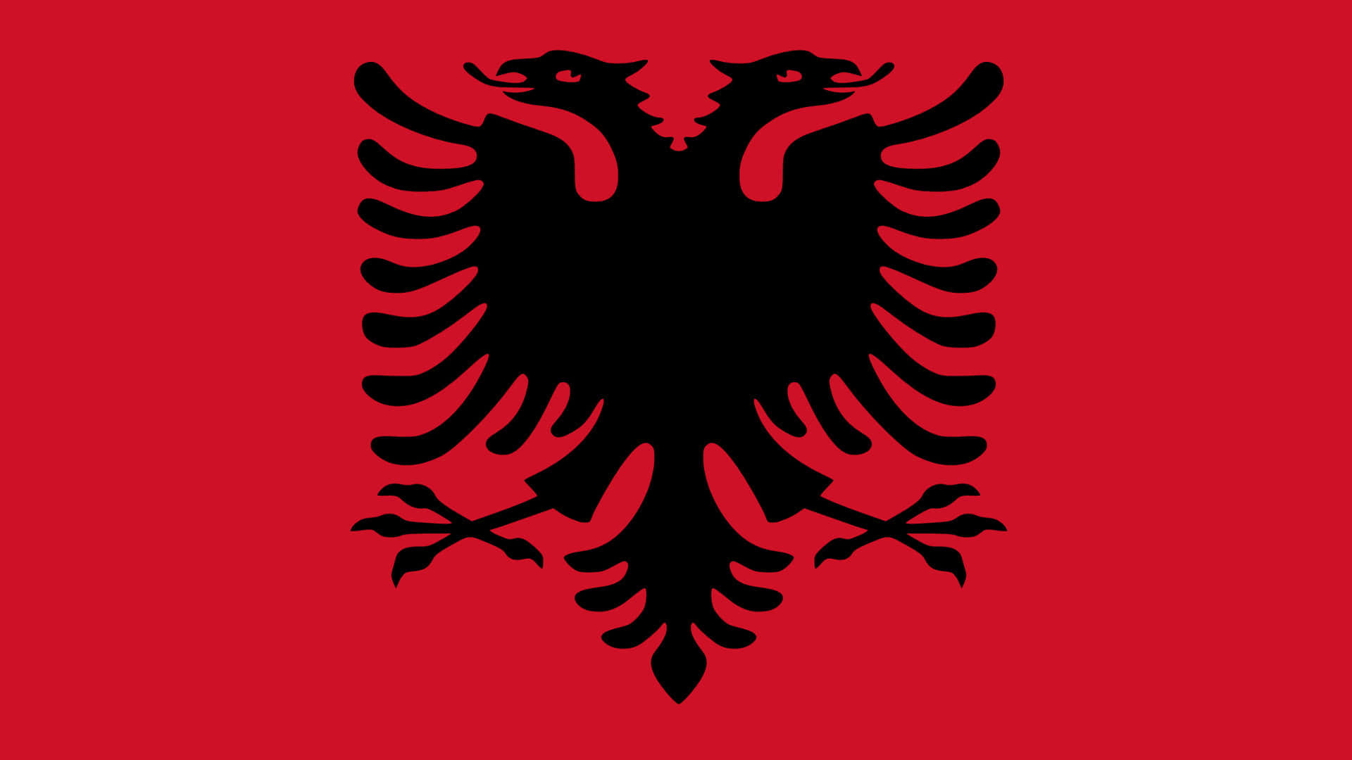 Albania 桌布 壁紙 — 一面大膽的紅色旗幟中央有一隻展開翅膀和爪子的黑色雙頭鷹。