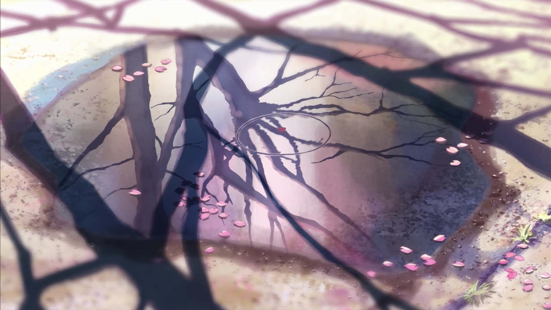 Makoto Shinkai 桌布 壁紙 — 一面破裂的鏡子映照出光禿的樹枝和飄落的粉紅色花瓣，背景是柔和的紫色和米色。