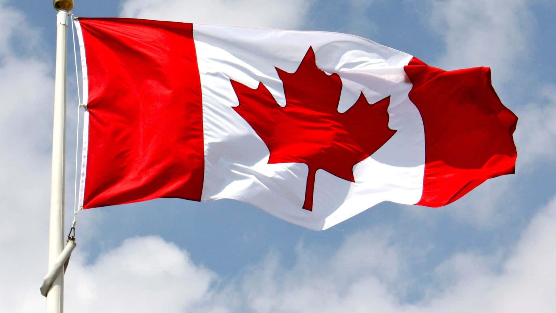 Canada 桌布 壁紙 — 一面鮮豔的加拿大國旗，帶有紅色楓葉，在點綴著蓬鬆白雲的明亮藍天下自豪地飄揚。
