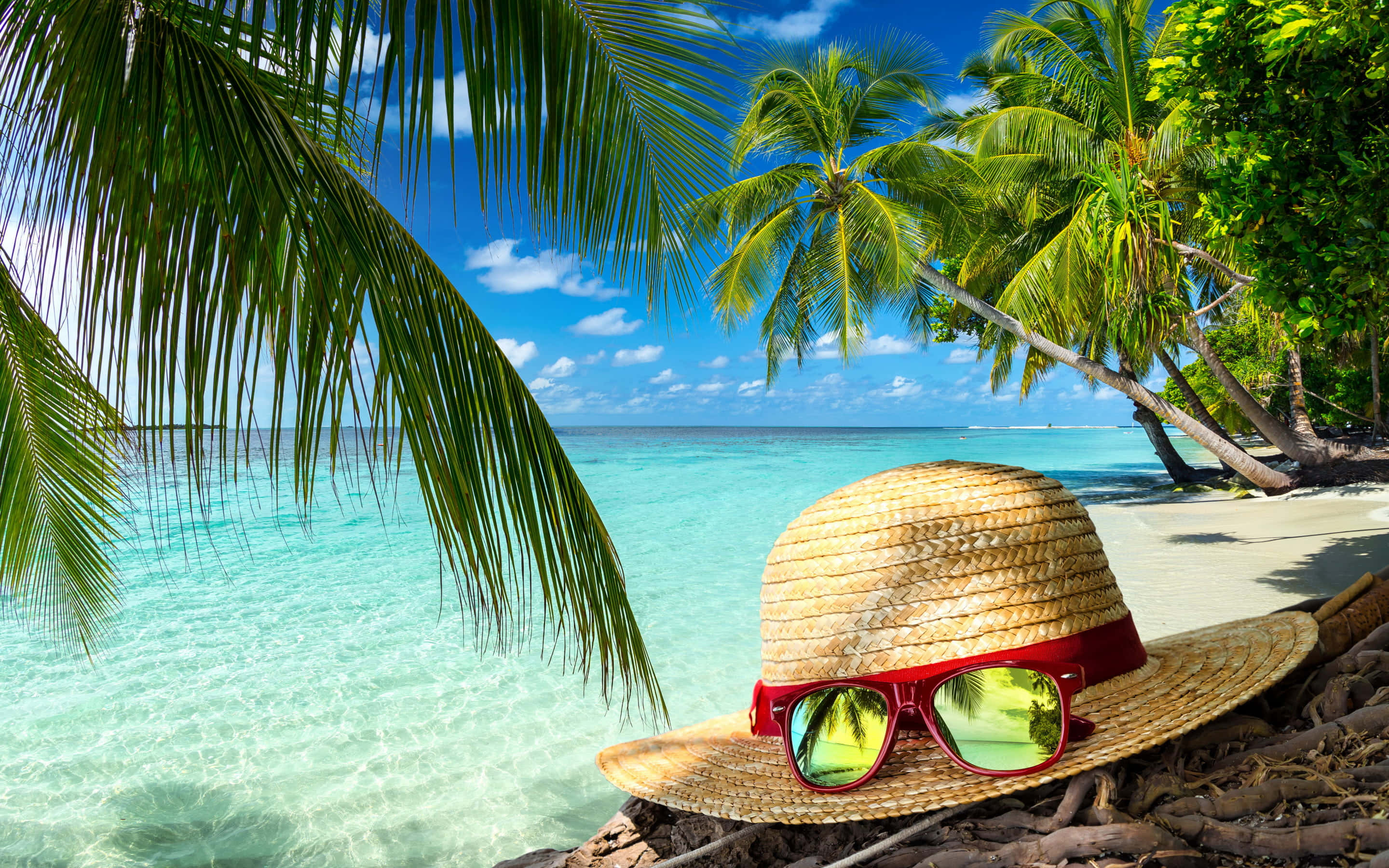 Beach Hat 桌布 壁紙 — 一頂草帽配紅色太陽眼鏡放在熱帶海灘上，棕櫚樹下，碧綠的海水和藍天。