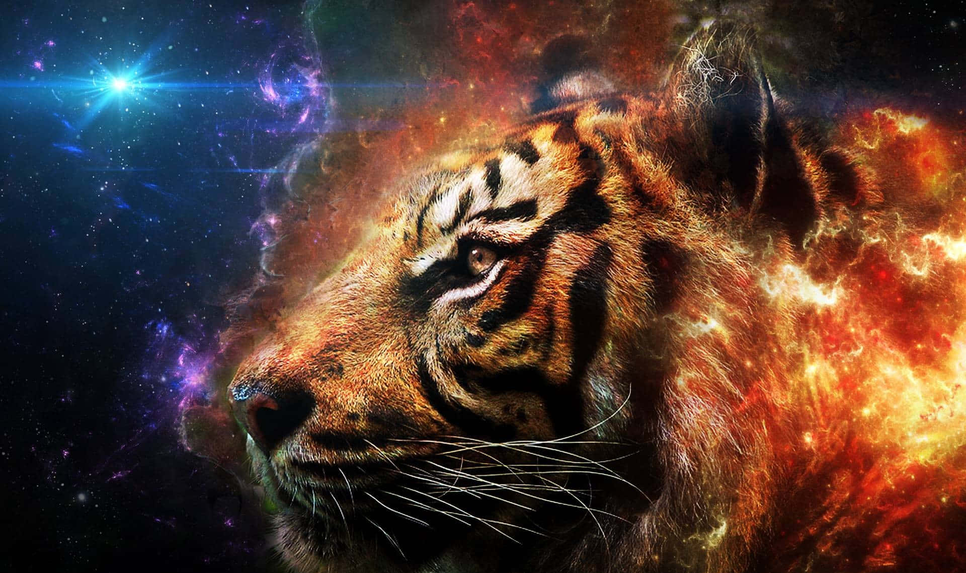 Tiger Galaxy 桌布 壁紙 — 一頭威嚴的老虎頭部從熾熱的宇宙雲層中浮現，背景是繁星點點的星雲。