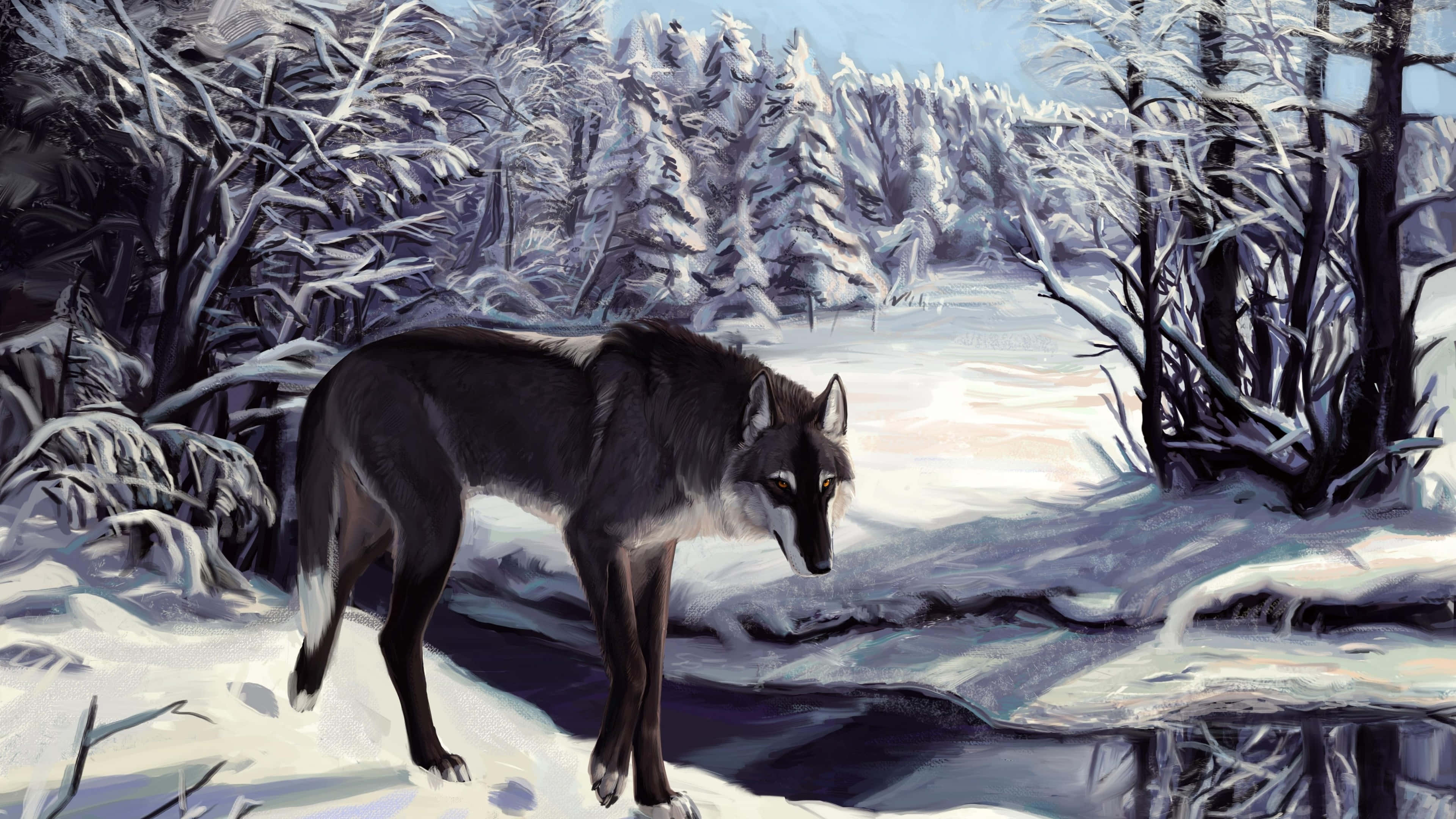 Wolf In Winter 桌布 壁紙 — 一頭孤狼站在雪地森林中，旁邊是一條結冰的小溪，上方是蒼白的冬日天空。