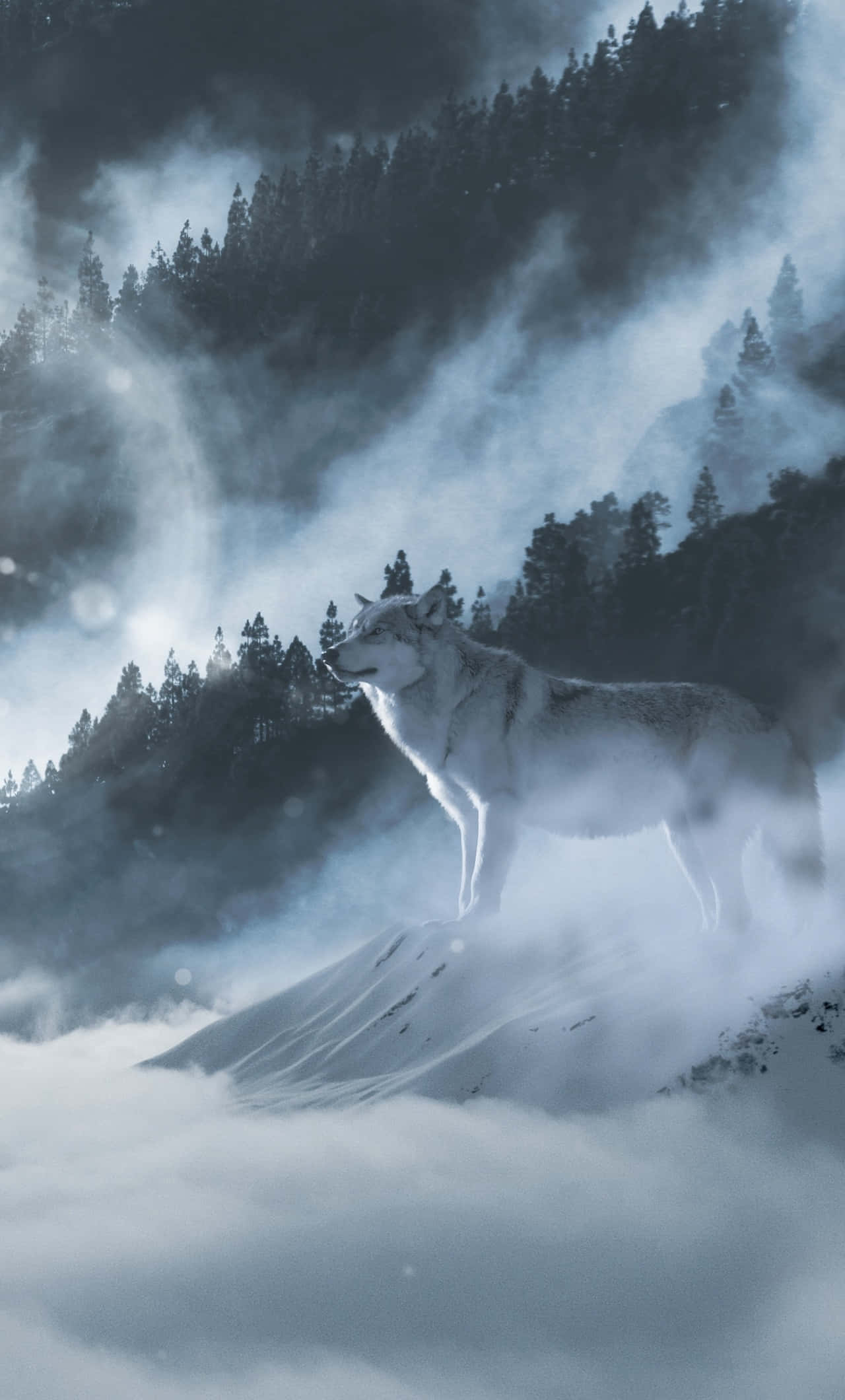 Wolf In Snow 桌布 壁紙 — 一頭孤獨的白狼站在被迷霧森林環繞的雪峰上，天空陰暗。