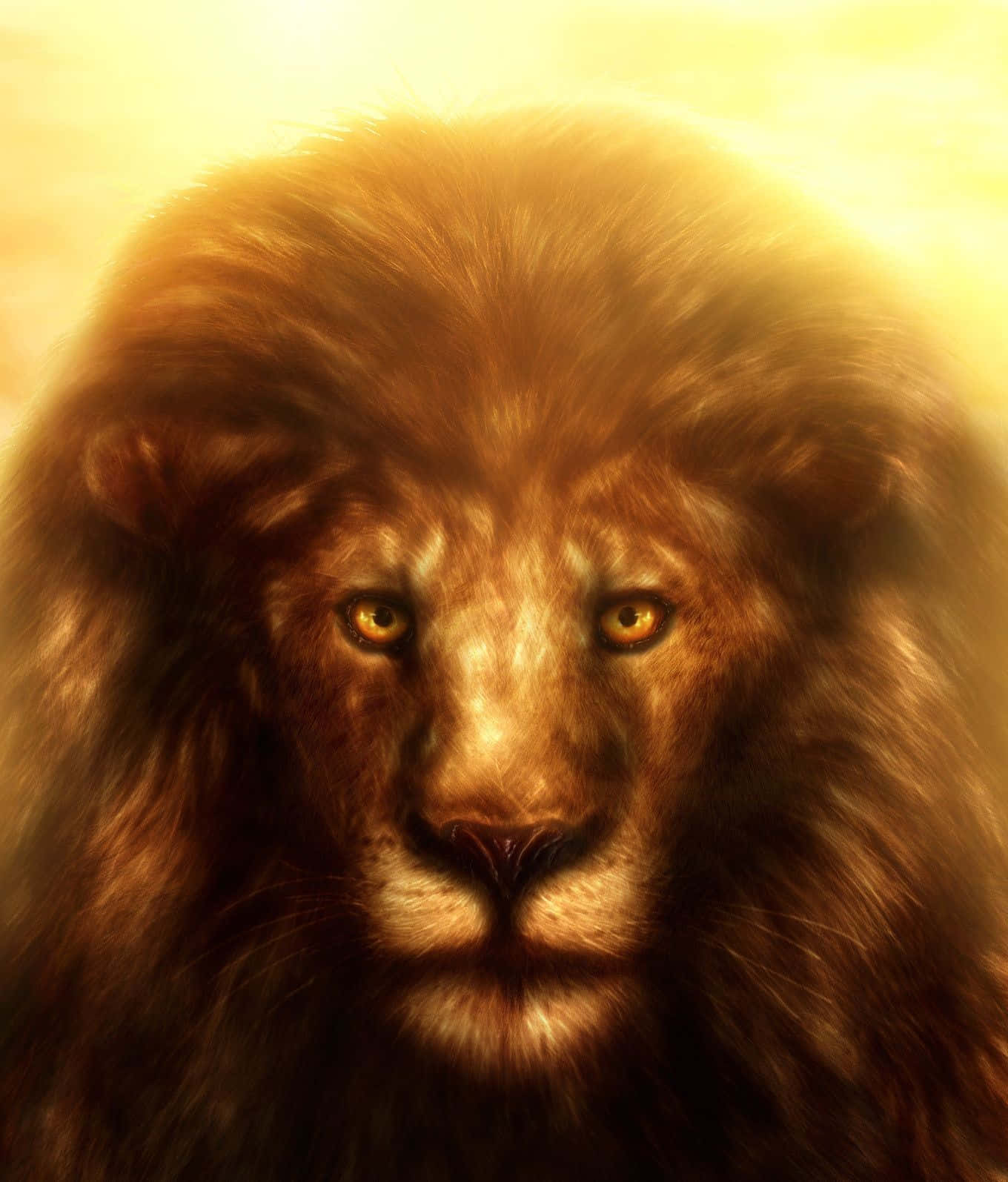 Lion Of Judah 桌布 壁紙 — 一頭擁有金色鬃毛的雄獅，在溫暖發光的背景下凝視著。