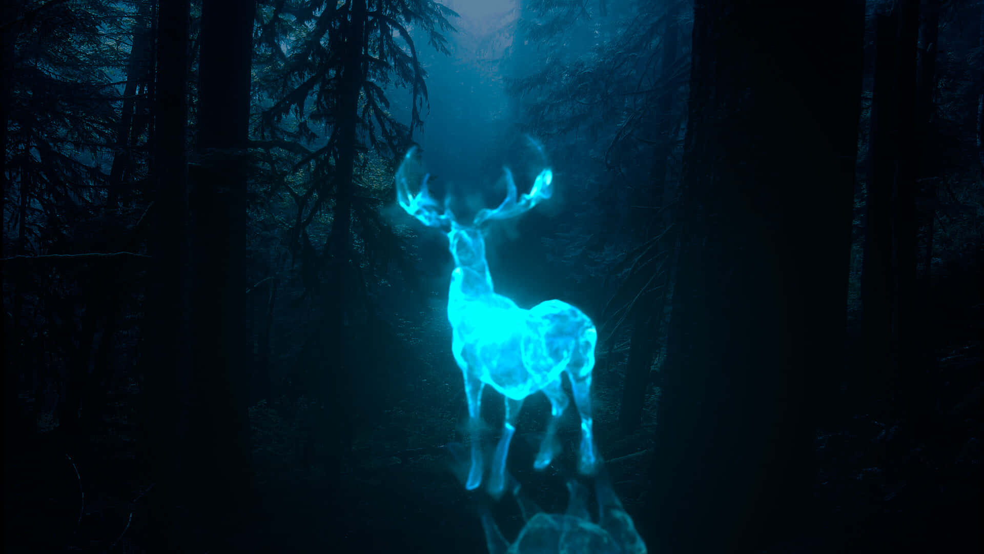 Patronus 桌布 壁紙 — 一頭發光的藍色鹿在黑暗的森林中飄渺地站立，其發光形態穿過樹木散發出神秘的靈氣。