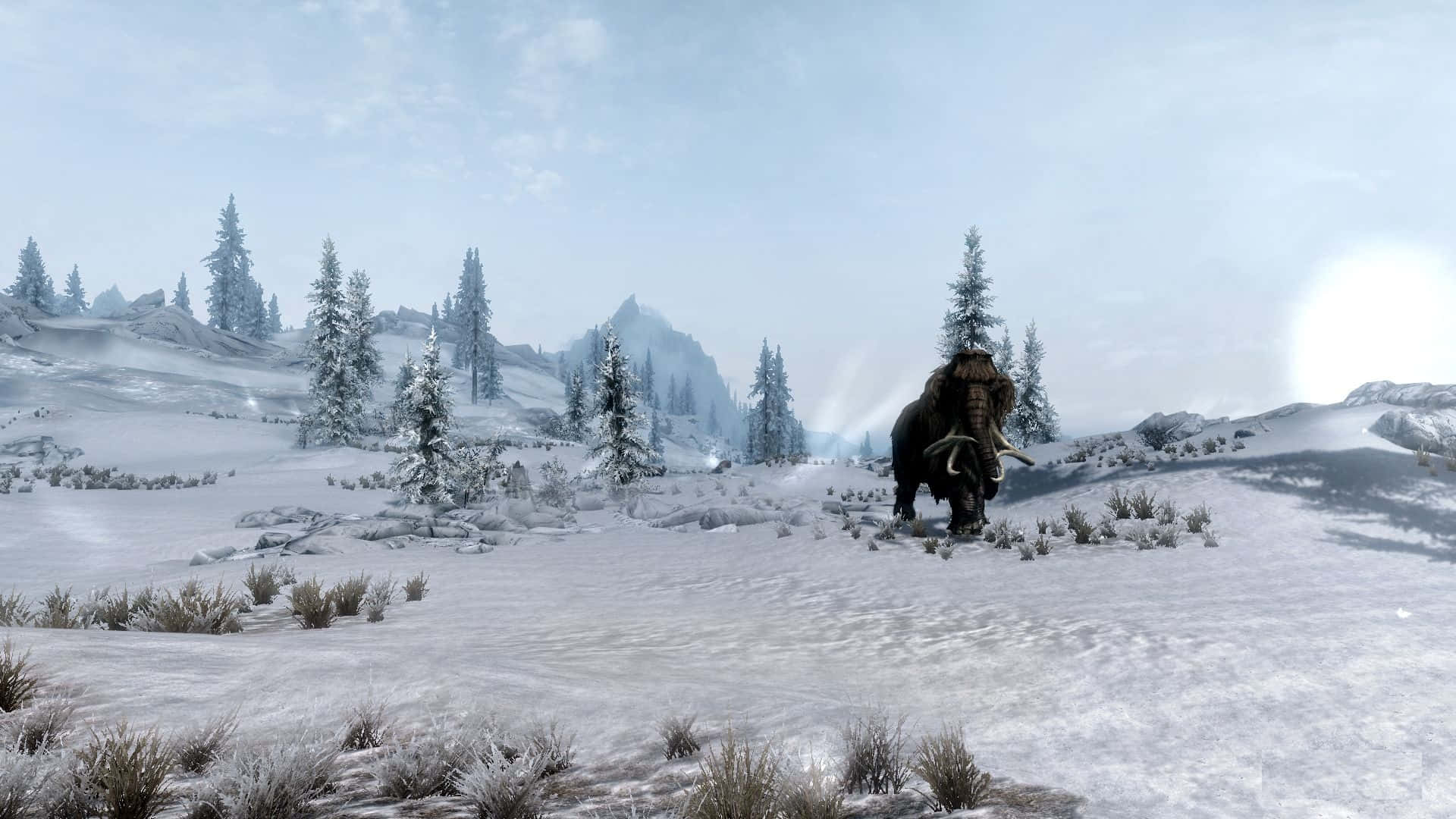 Winter Games 桌布 壁紙 — 一頭長毛猛獁象在蒼白的冬日天空下，走過點綴著霜凍松樹的雪原凍土帶。
