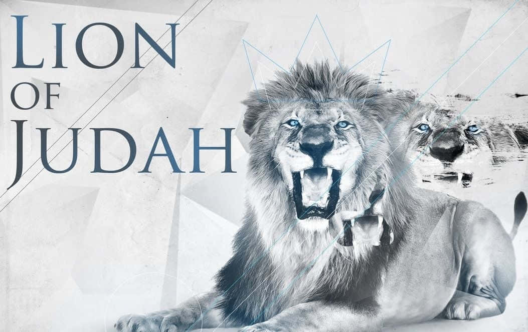 Lion Of Judah 桌布 壁紙 — 一頭雄偉的獅子在幾何單色背景上咆哮，擁有強烈的藍色眼睛，並帶有「LION OF JUDAH」文字。