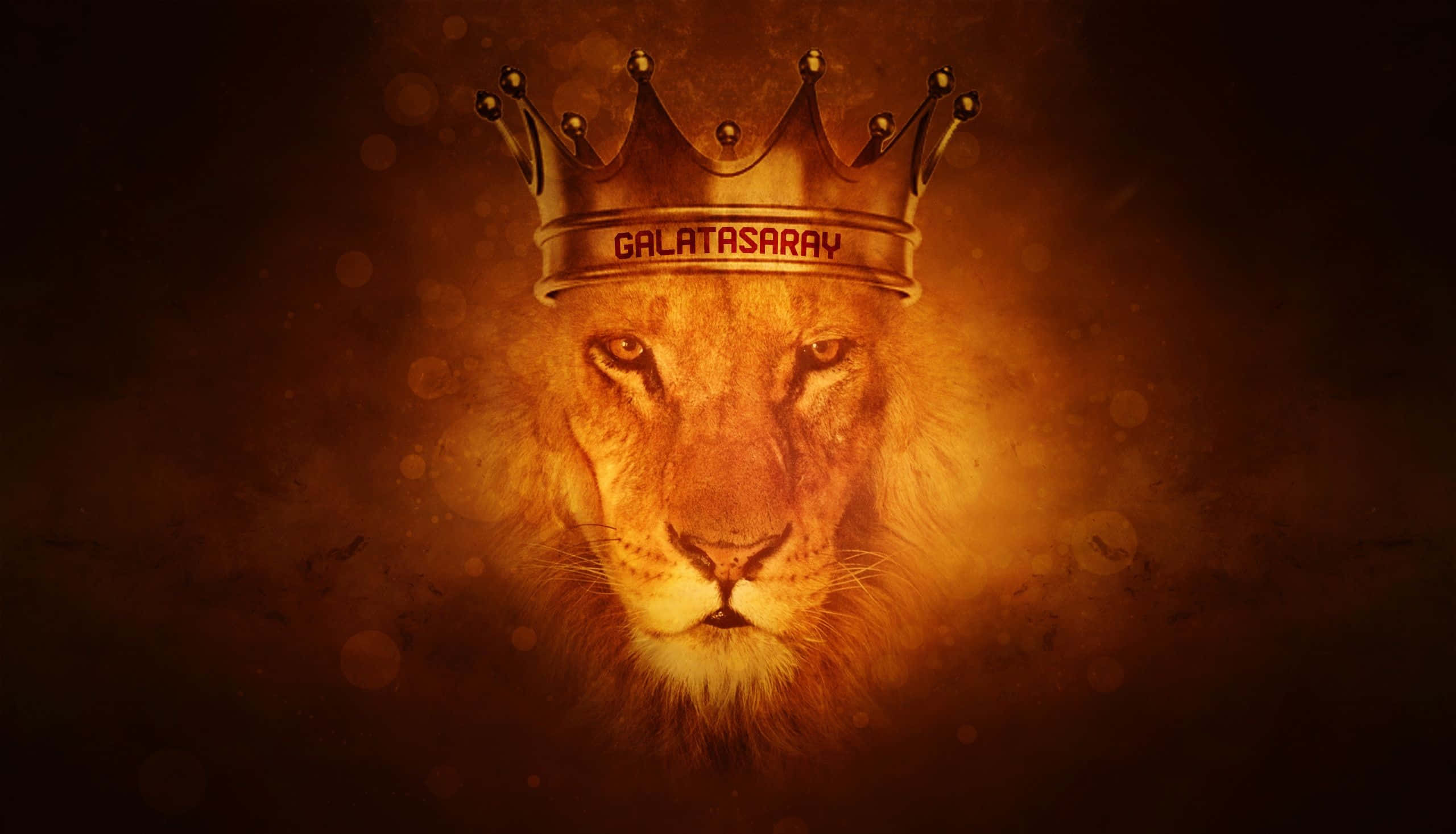 Lion Of Judah 桌布 壁紙 — 一頭雄偉的獅子戴著刻有「GALATASARAY」的王冠，在黑暗的散景背景下溫暖地發光。