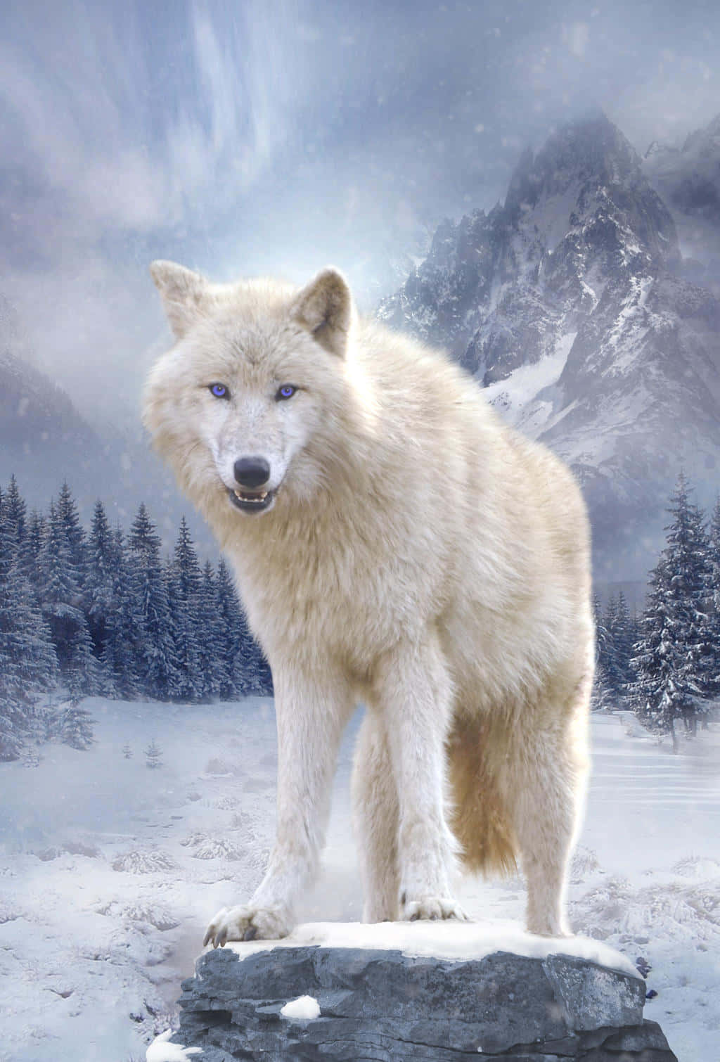 Wolf In Snow 桌布 壁紙 — 一頭雄偉的白狼，有著銳利的藍色眼睛，站在多雲天空下冰凍山林的雪岩上。