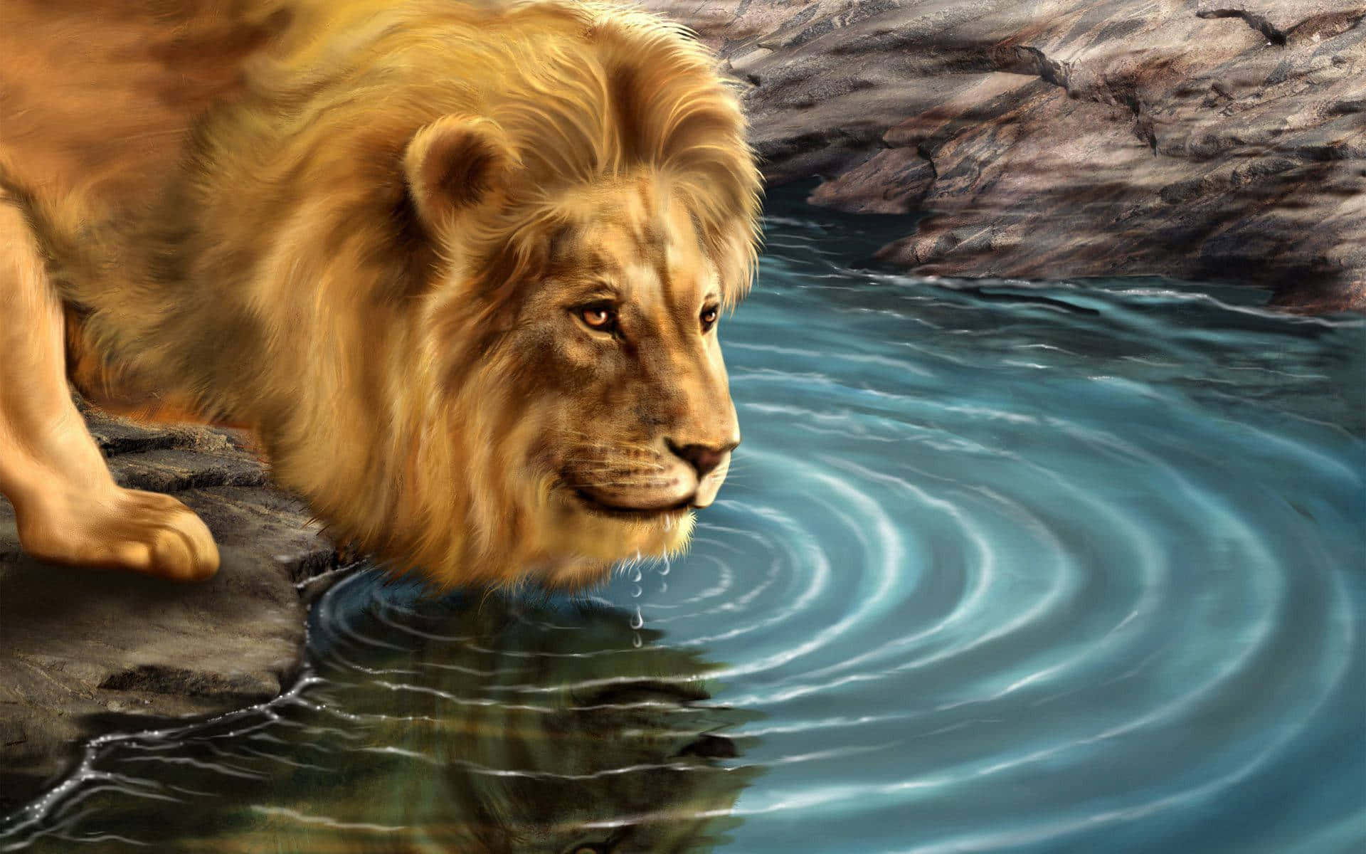 3d Animal 桌布 壁紙 — 一頭雄偉的雄獅，擁有豐滿的金色鬃毛，正在清澈的藍色水池中飲水，在黑暗的岩石岸邊激起漣漪。