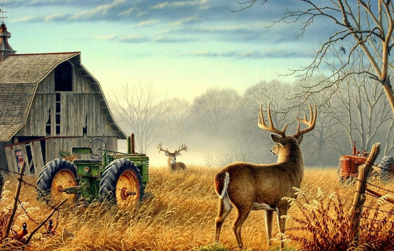 Farm Animal 桌布 壁紙 — 一頭雄偉的鹿站在金色的草地上，旁邊是一座風化的穀倉和復古拖拉機，在柔和的藍天下。