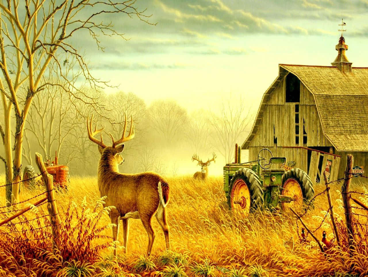 Fall Country 桌布 壁紙 — 一頭雄偉的鹿站在金色的草地上，旁邊是一座風化的穀倉和一輛復古拖拉機，背景是朦朧的日出。