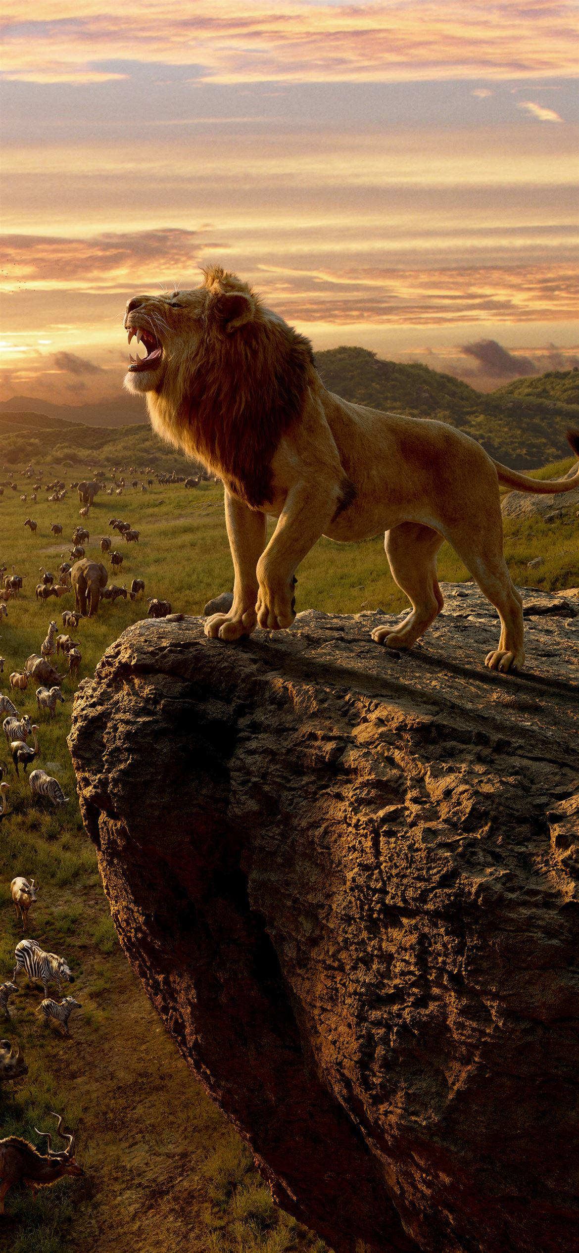 lion roar 桌布 壁紙 — 一頭雄獅在岩石峭壁上勝利地咆哮，俯瞰著金色日落下的廣闊稀樹草原。