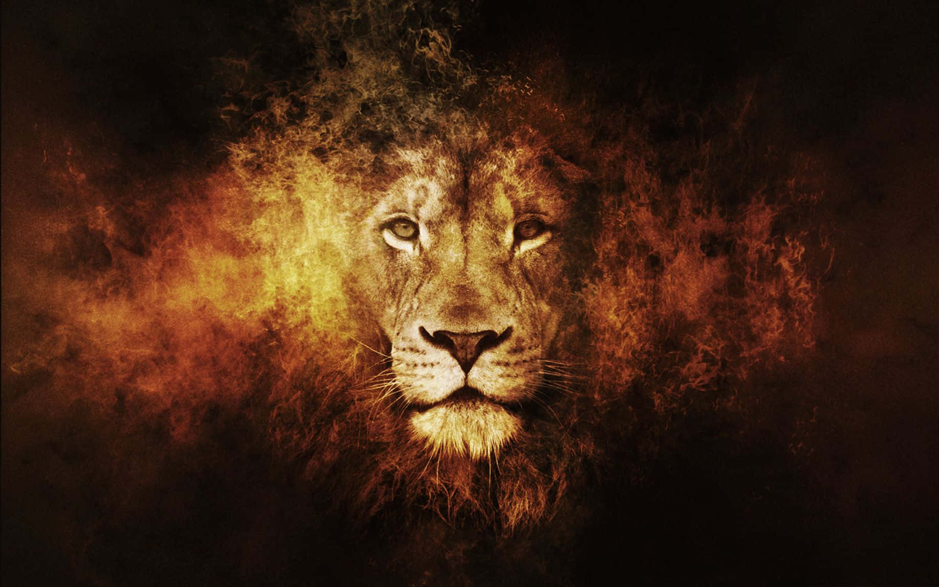 Lion Of Judah 桌布 壁紙 — 一頭雄獅的臉從旋轉的熾熱橙色和黑色煙霧中浮現，背景為黑色。