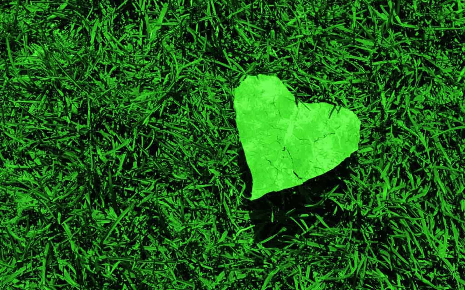 Green Heart 桌布 壁紙 — 一顆亮綠色的心形石頭在均勻光線下躺在深綠色草葉之間。