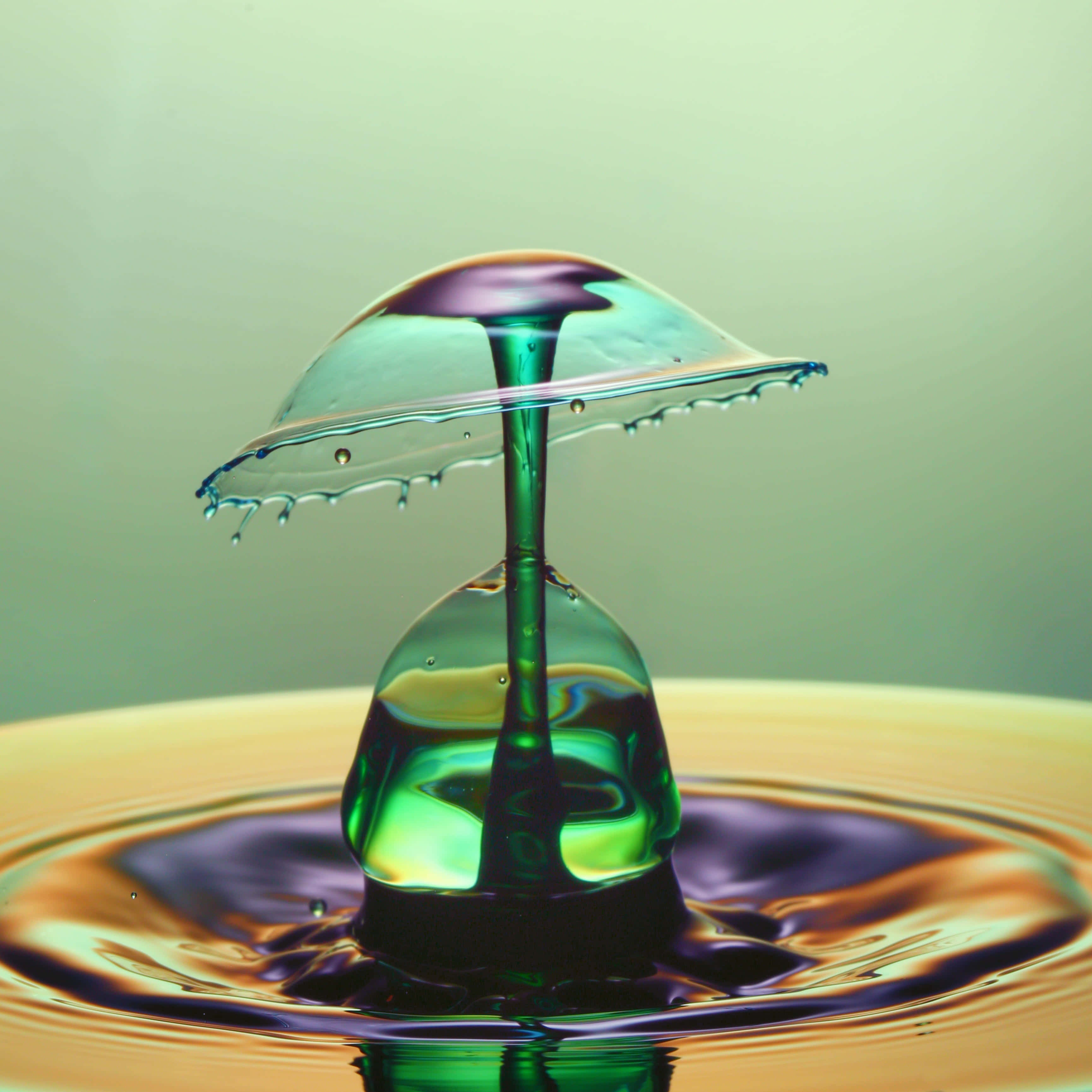 Liquid 桌布 壁紙 — 一顆充滿活力的綠色水滴在帶有彩虹反射的漣漪液體池上方形成完美的雨傘形狀。