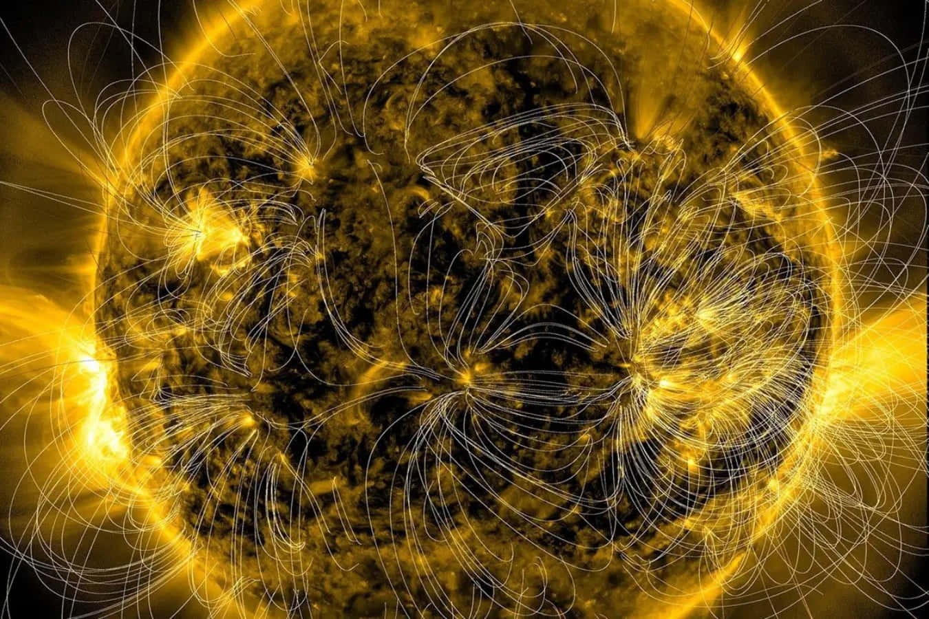 Magnetic Field 桌布 壁紙 — 一顆光芒四射的太陽，帶有複雜的磁場線，在黑暗的宇宙背景下閃耀著金色光芒。