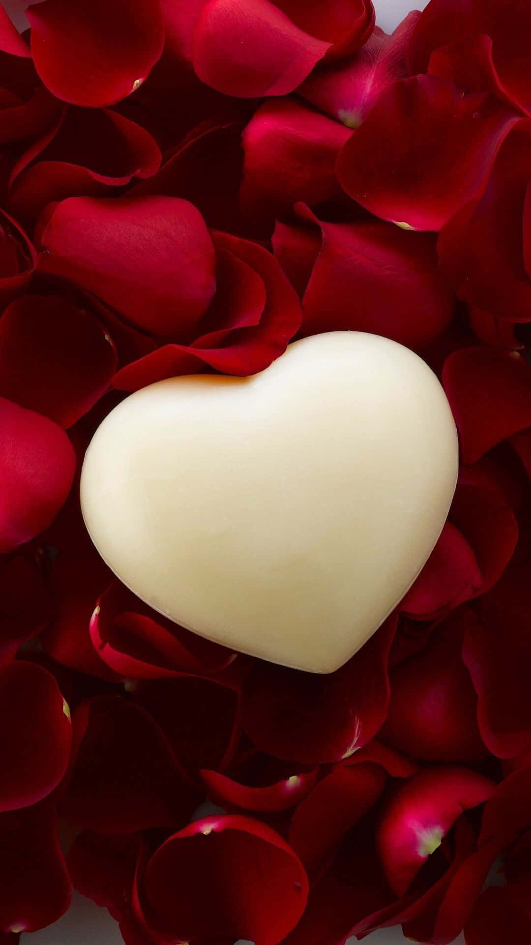 Rose Heart 桌布 壁紙 — 一顆奶油白色的心形朱古力放在柔焦的深紅玫瑰花瓣床上。