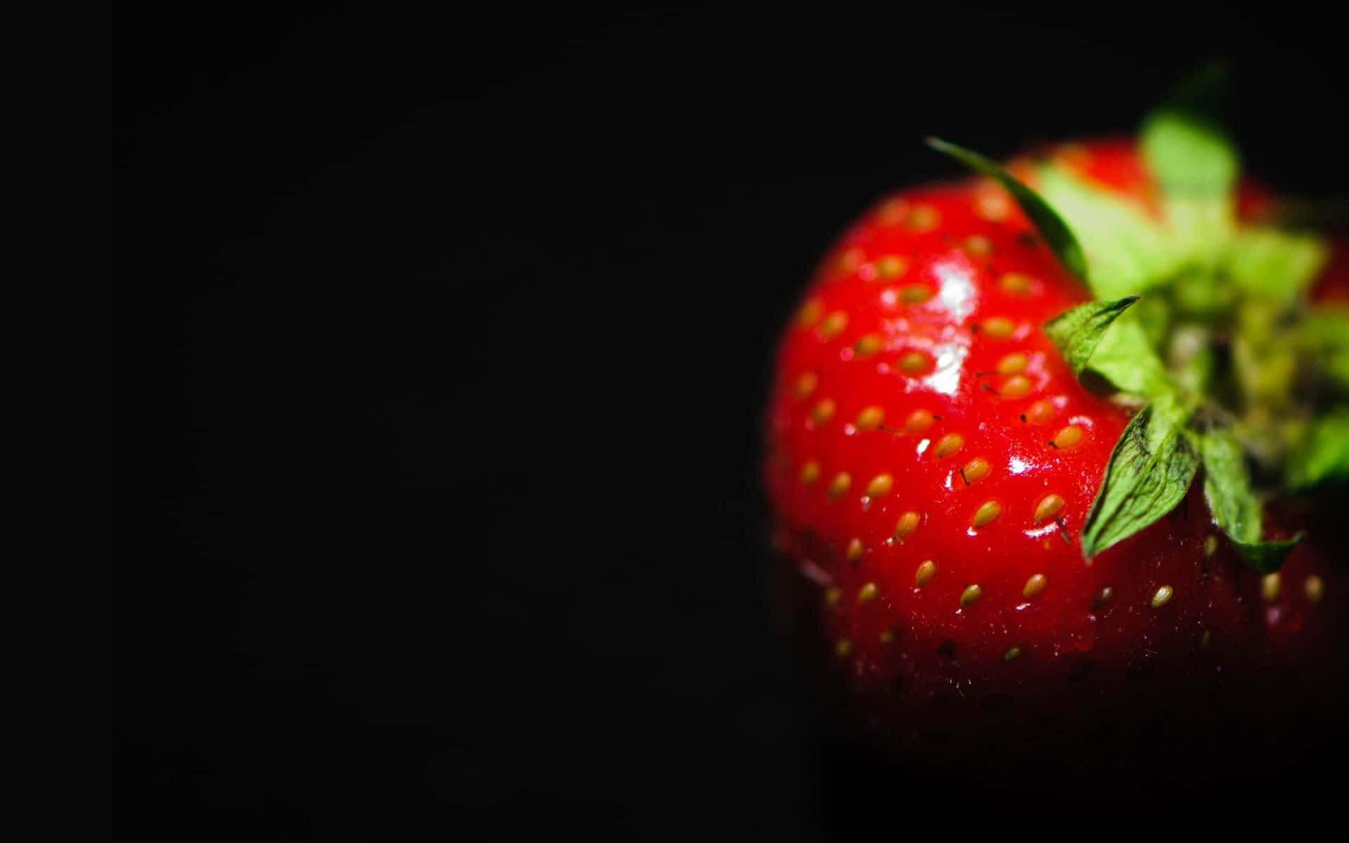 Red Strawberry 桌布 壁紙 — 一顆成熟的士多啤梨在漆黑背景上閃爍著露珠。