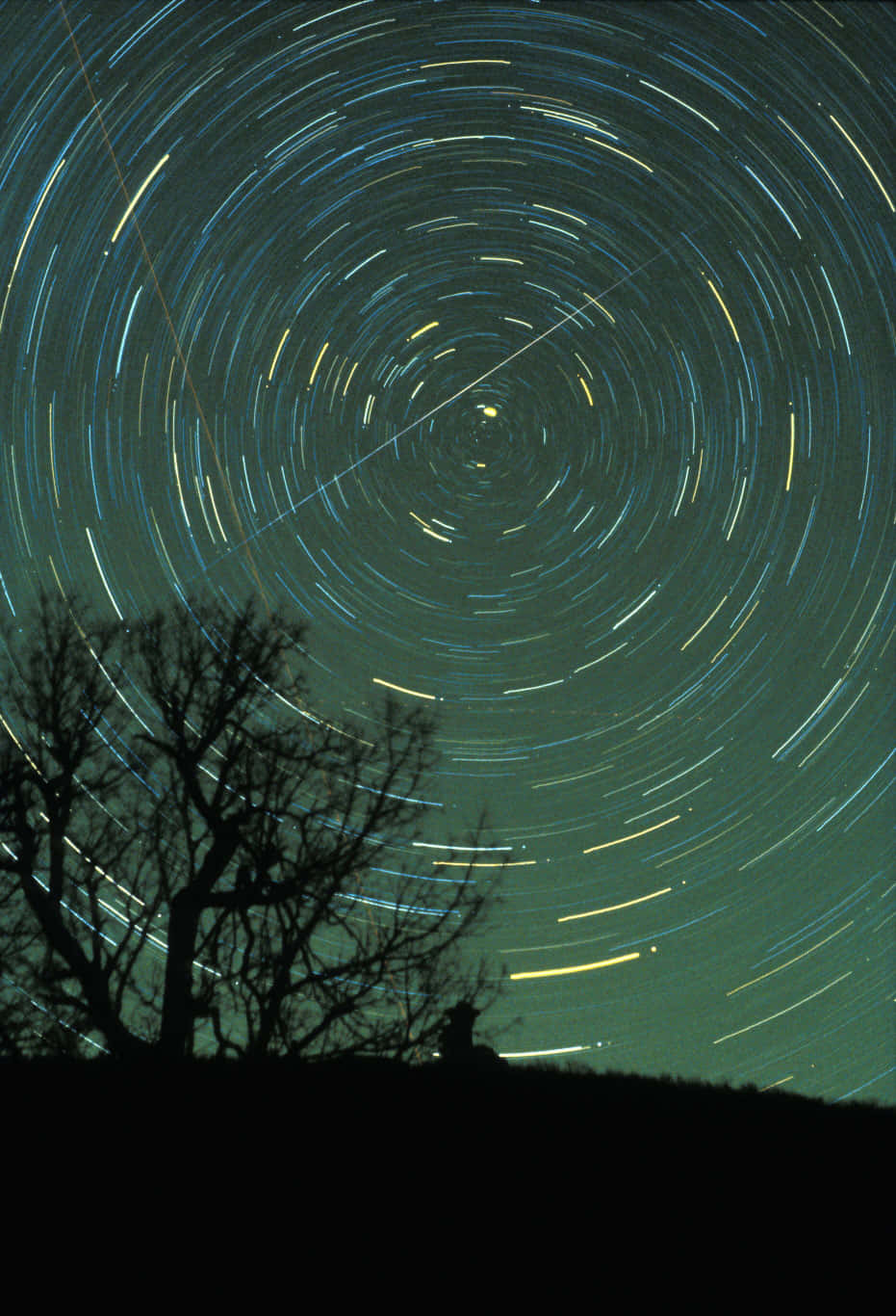 一顆明亮的流星劃過夜空 壁紙 — 一棵孤獨的樹影框住了深藍綠色夜空中旋轉的星軌。