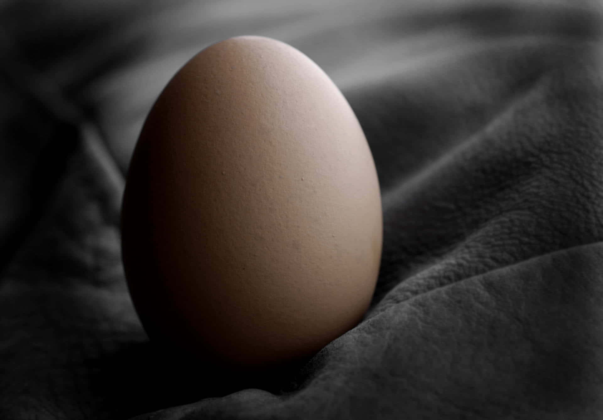 Egg 桌布 壁紙 — 一顆棕色雞蛋輕輕地放在有紋理的深色布料上，營造出陰鬱的黑白構圖。