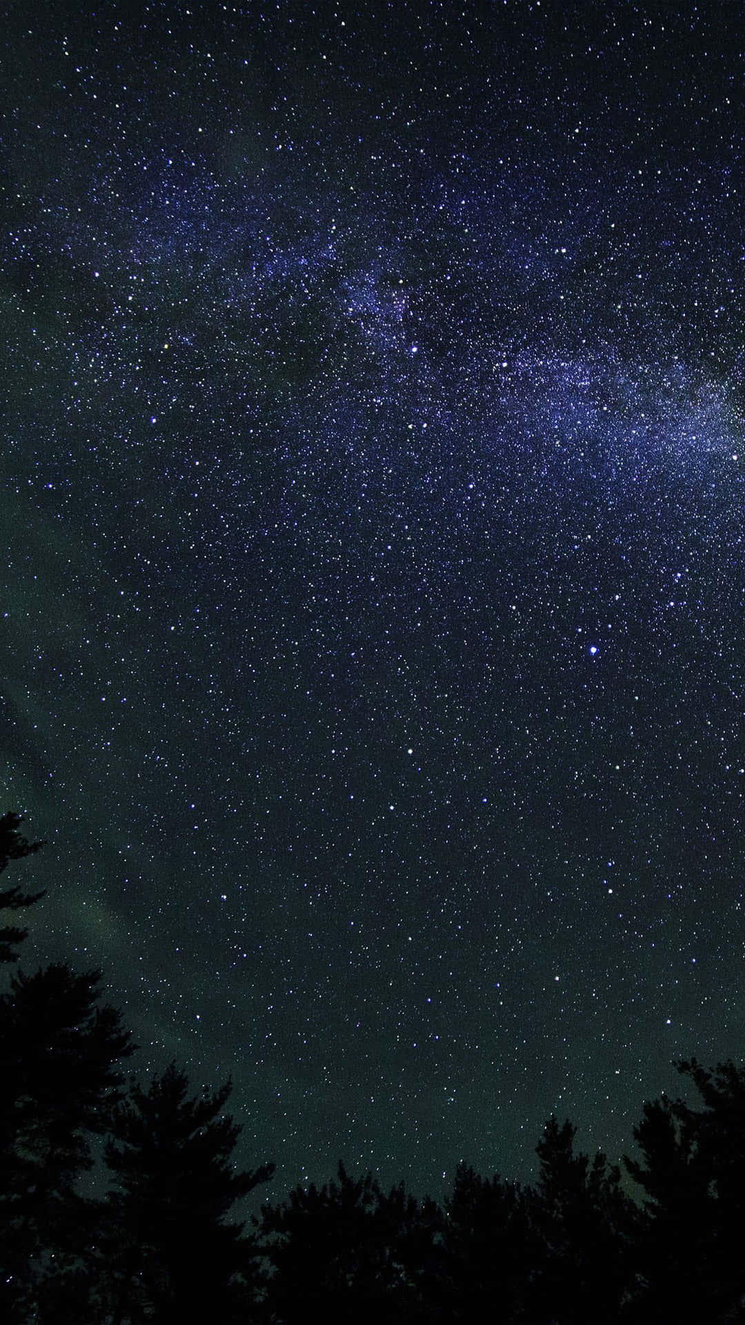 黑暗的夜空，有銀河和松樹剪影