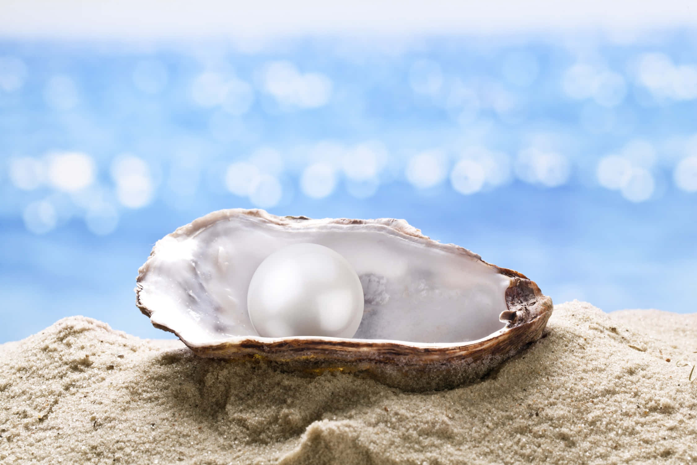 pearl 桌布 壁紙 — 一顆發光的珍珠躺在沙灘上打開的牡蠣殼中，背景是柔焦的閃爍藍色海洋。