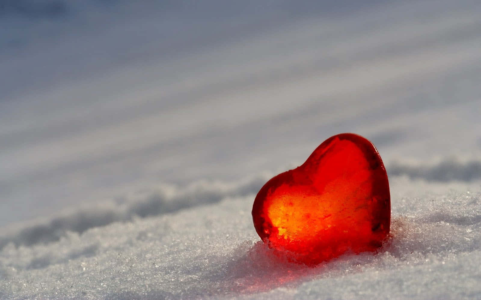 Red Heart 桌布 壁紙 — 一顆發光的紅色心形冰晶在柔和日光下靜置於純淨白雪上。