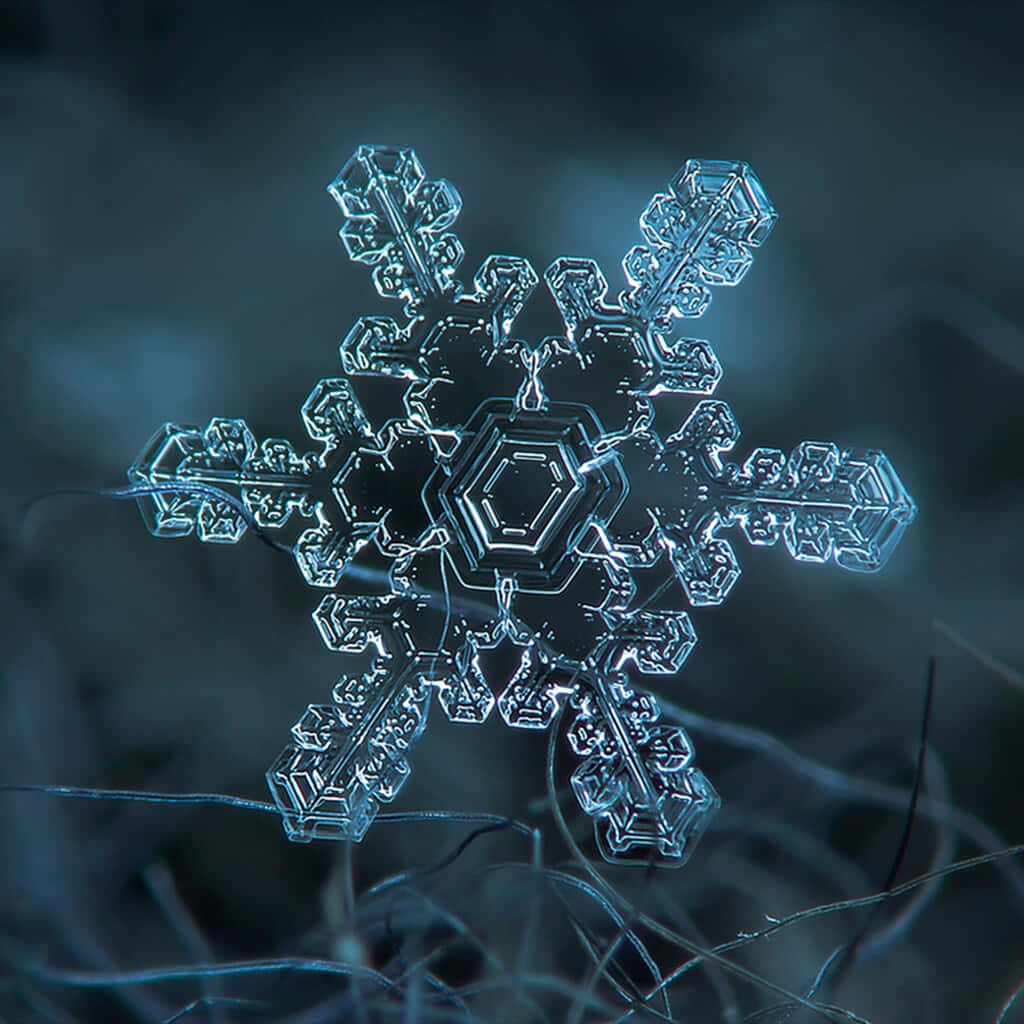 一顆精緻的雪花 壁紙 — 一片複雜的冰晶雪花在黑暗模糊的背景中發出冰藍色的光芒。