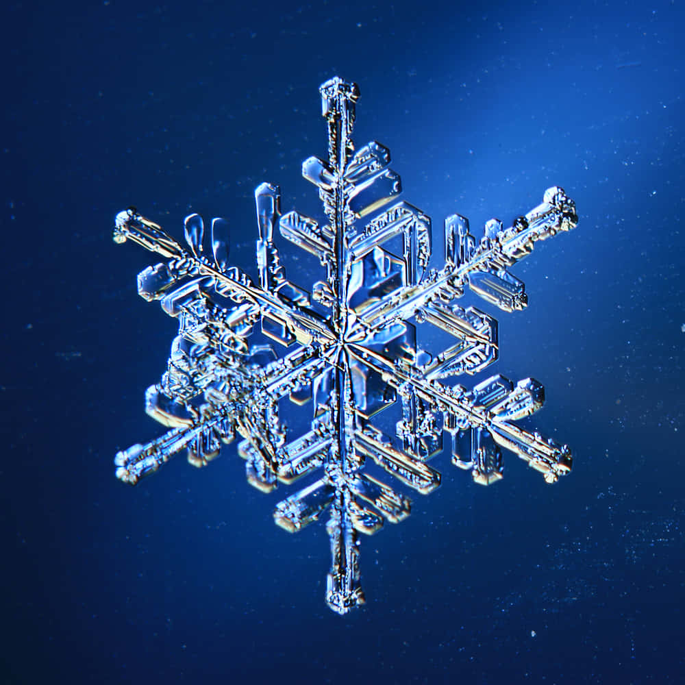 一顆美麗而精緻的雪花特寫 壁紙 — 一片精緻的雪花在深藍色漸變背景上散發著晶瑩剔透的光芒。
