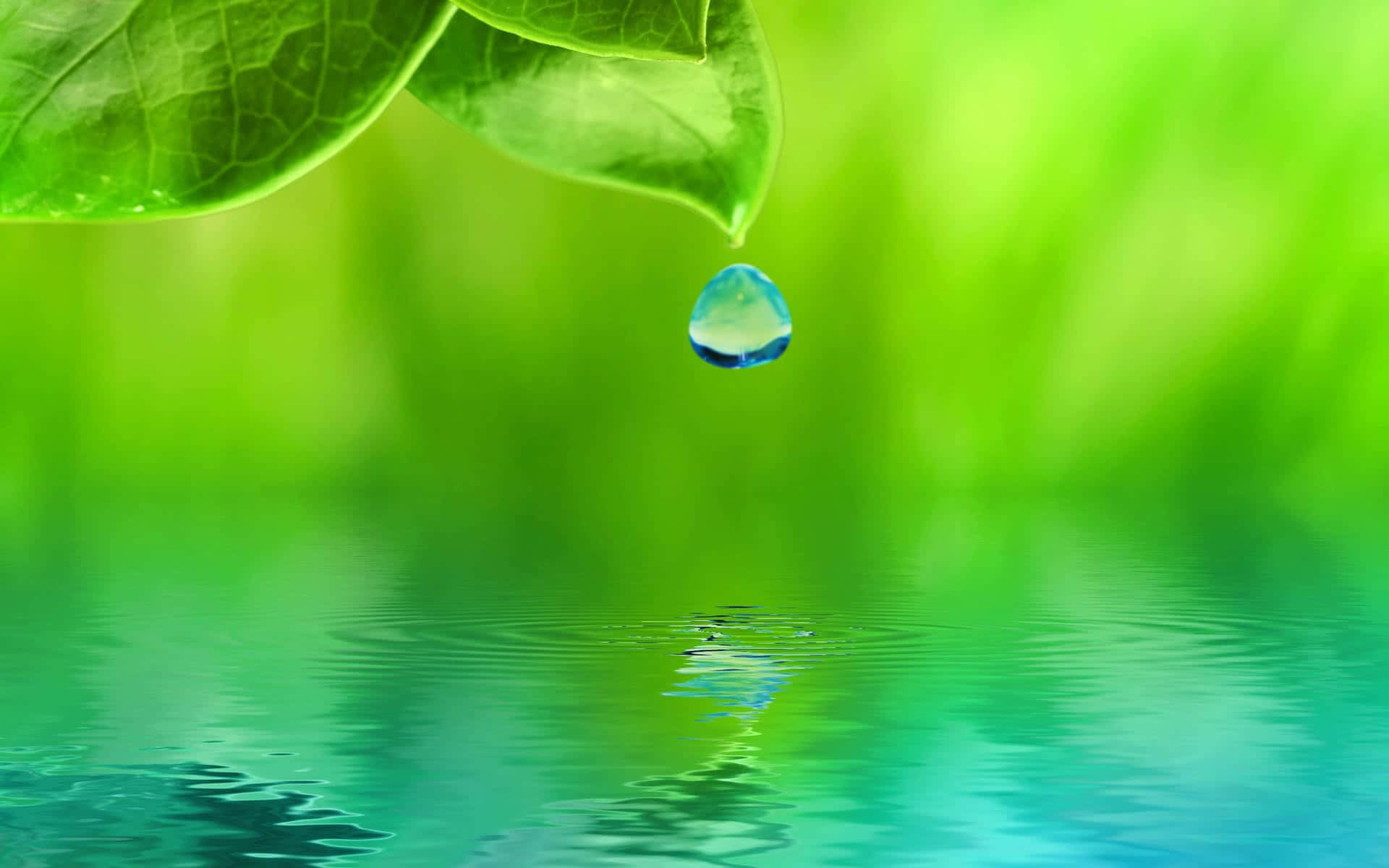 Refreshing 桌布 壁紙 — 一顆閃閃發光的水珠懸掛在一片充滿活力的綠葉上，下方是平靜如鏡的水面。