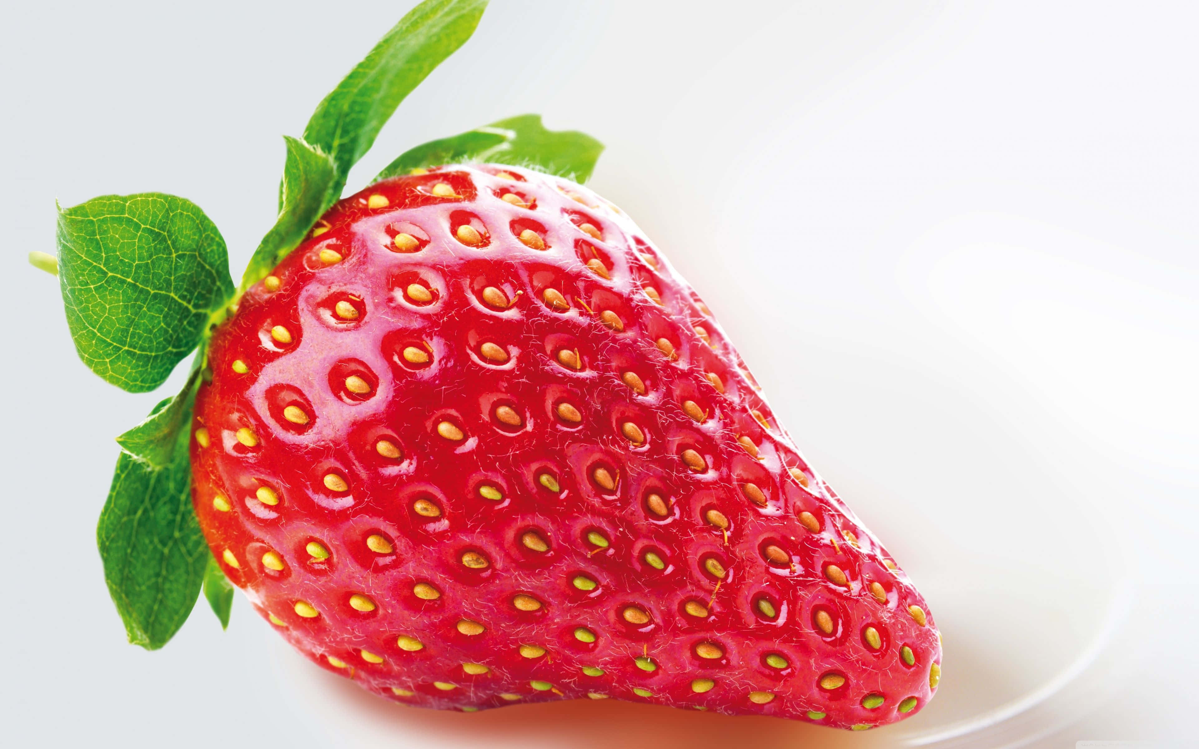 Red Strawberry 桌布 壁紙 — 一顆鮮紅的士多啤梨帶有綠葉，放在白色碟子上，背景明亮潔淨。
