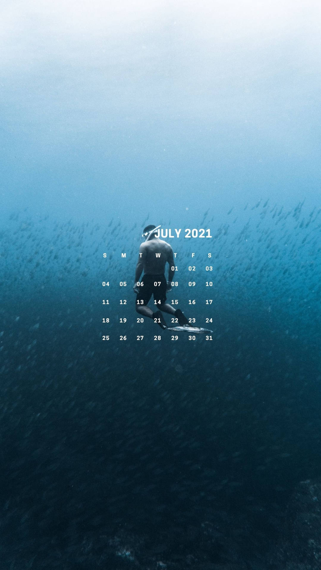 一名潛水員被魚群環繞，顯示2021年7月的日曆。