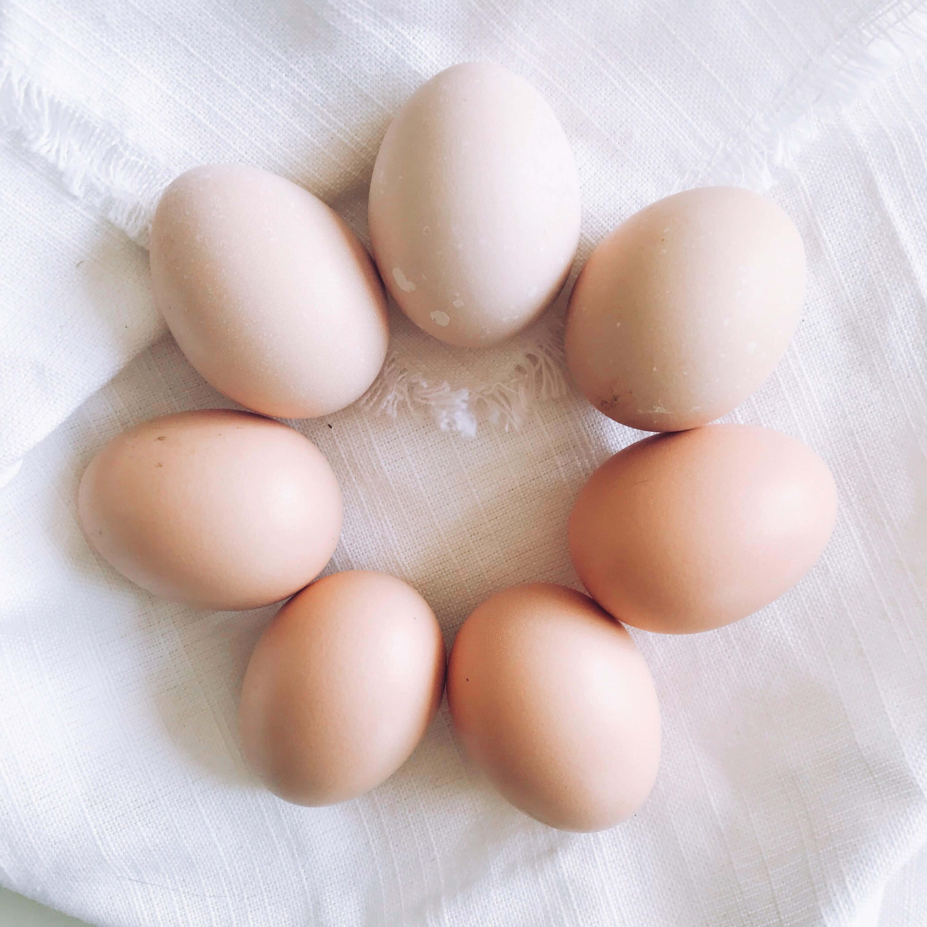 Brown Eggs 桌布 壁紙 — 七隻棕色雞蛋在柔和的自然光下，排列成圓形放在有紋理的白色布料上。
