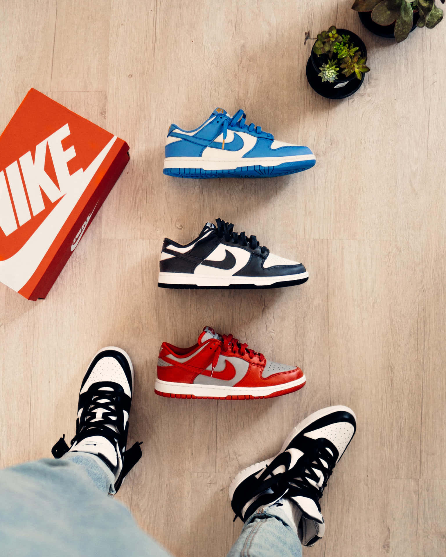 三對Nike Dunk運動鞋和一個人的腳穿著相配的鞋子，放在木地板上，旁邊有一個紅色盒子和盆栽多肉植物。