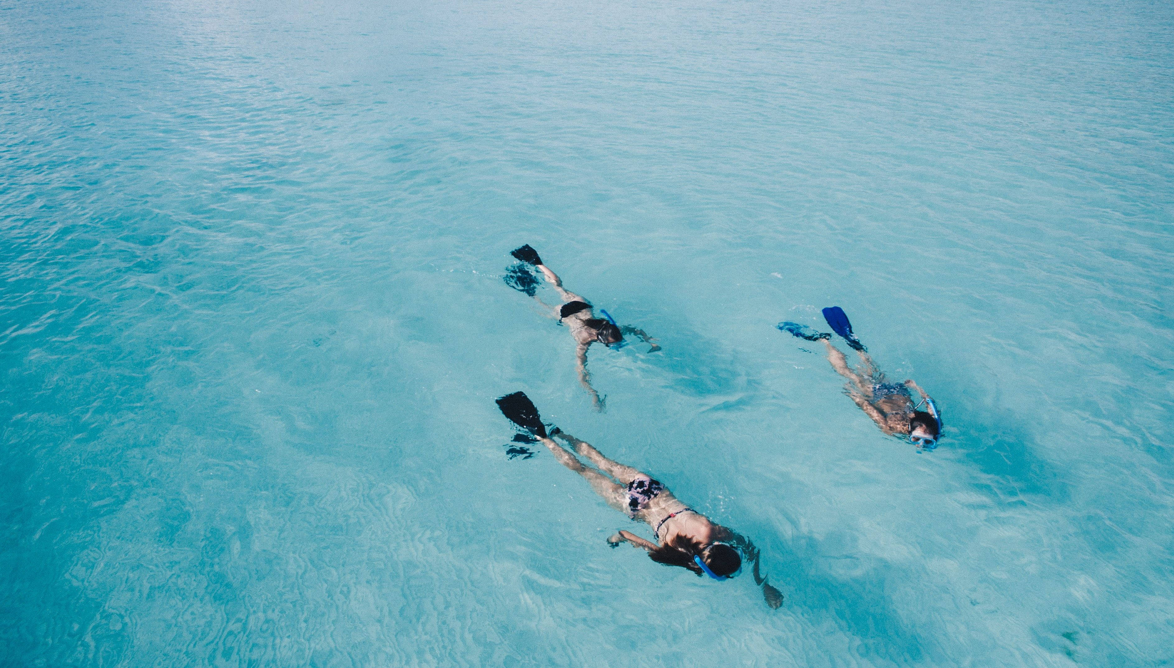 三位女孩浮潛 壁紙 — 三名浮潛者從空中視角滑過清澈的碧綠海水。
