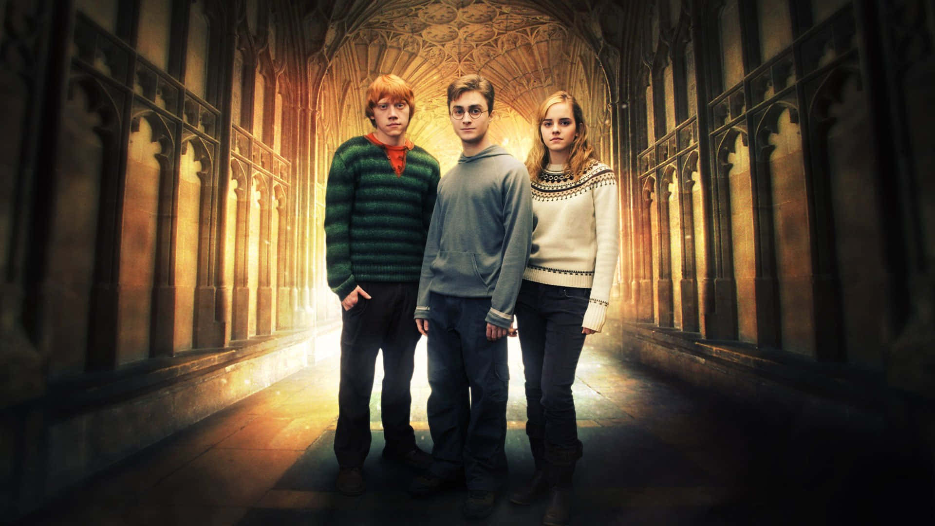 The Order Of Phoenix 桌布 壁紙 — 三位年輕巫師站在一條宏偉的石頭走廊中，被背後溫暖的金色光芒籠罩。