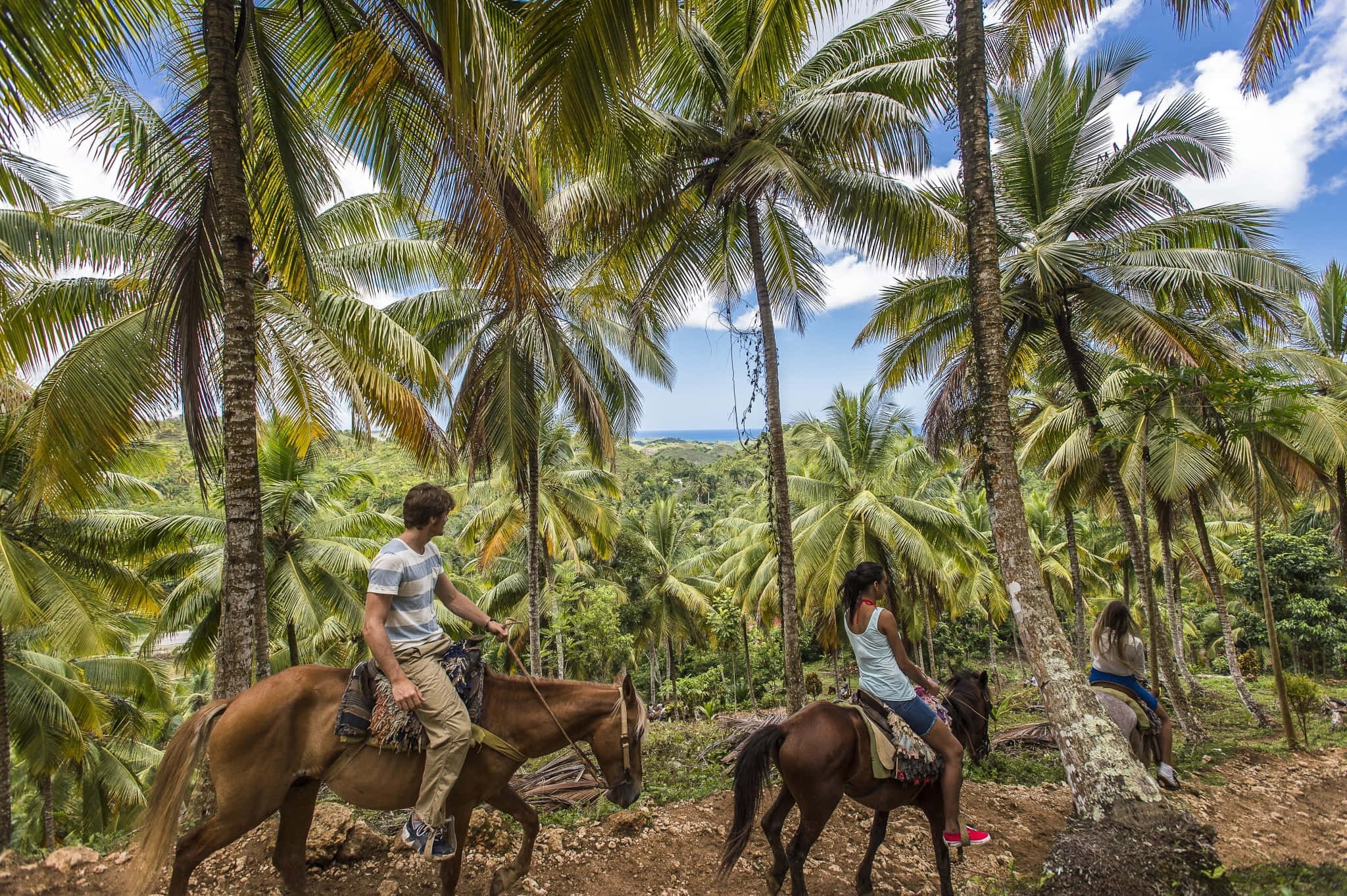Eco-tourism 桌布 壁紙 — 三位騎手騎著馬，在明亮的藍天下，穿過一條陽光普照的叢林小徑，兩旁是高聳的棕櫚樹。
