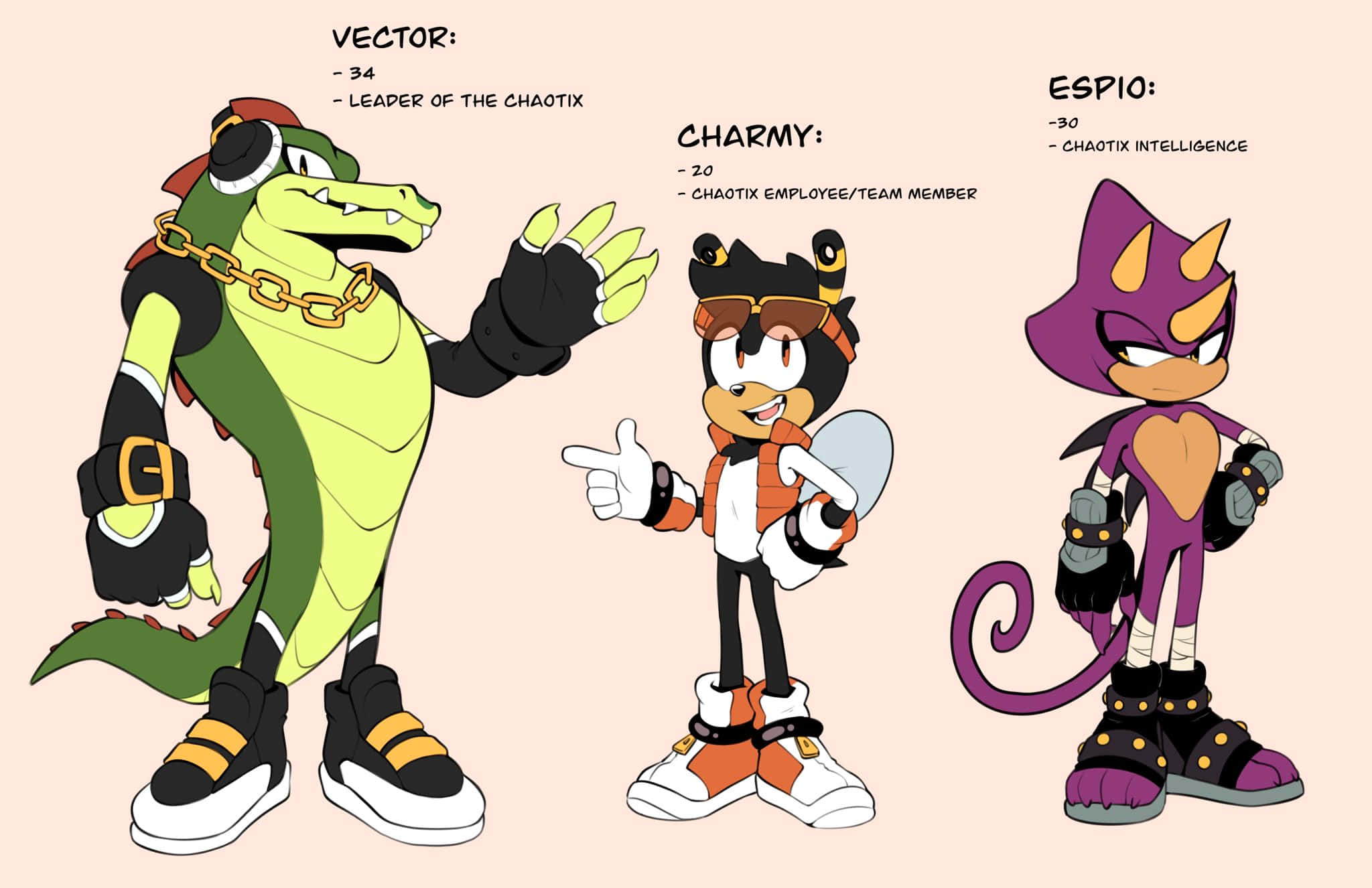 Vector The Crocodile 桌布 壁紙 — 三個Chaotix角色Vector、Charmy和Espio以全彩色角色設計站立，每個上方標有名稱和角色。
