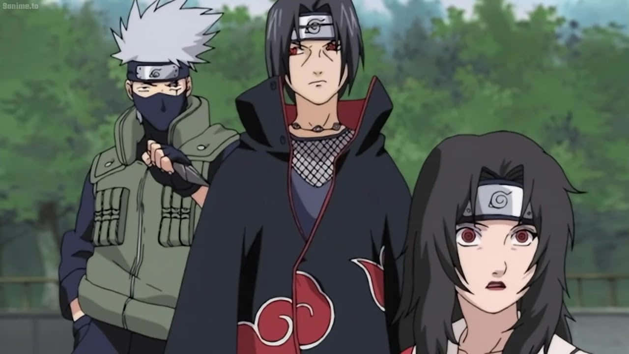 Kakashi And Itachi 桌布 壁紙 — 三個動漫忍者角色站在森林戶外場景中，表情嚴肅，帶有鮮明的氏族標記。